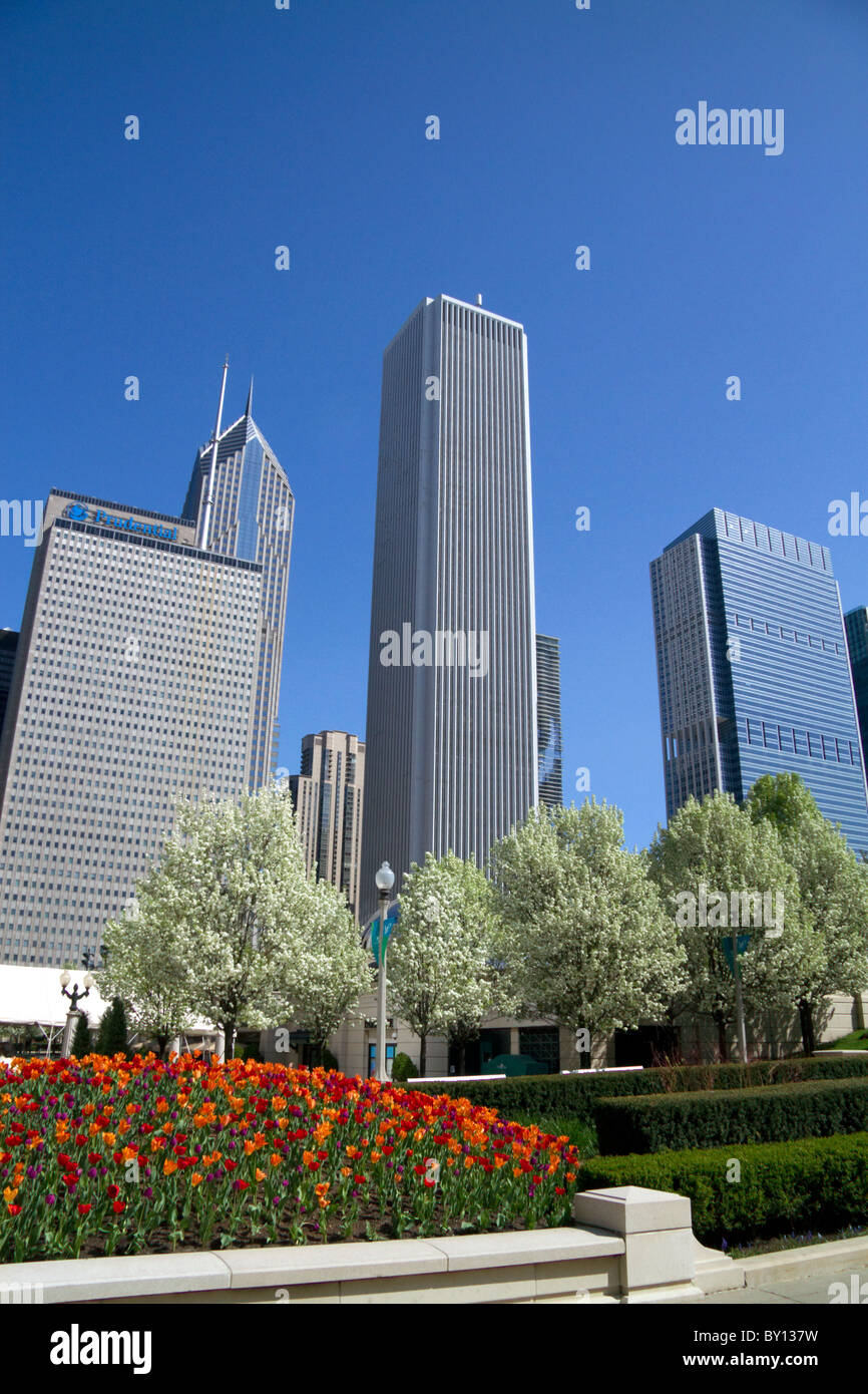 I tulipani in fiore al Millennium Park di Chicago, Illinois, Stati Uniti d'America. Foto Stock