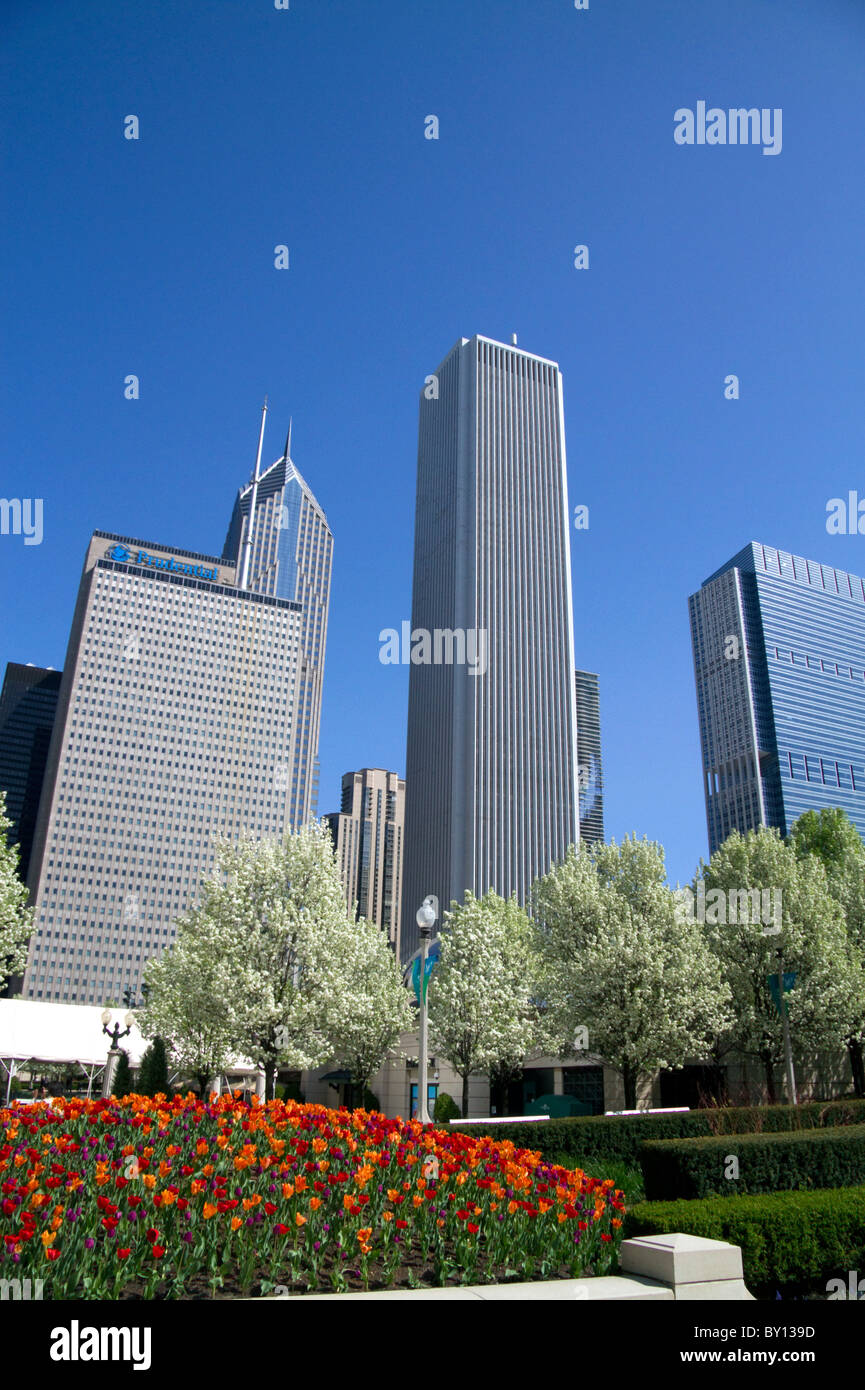 I tulipani in fiore al Millennium Park di Chicago, Illinois, Stati Uniti d'America. Foto Stock