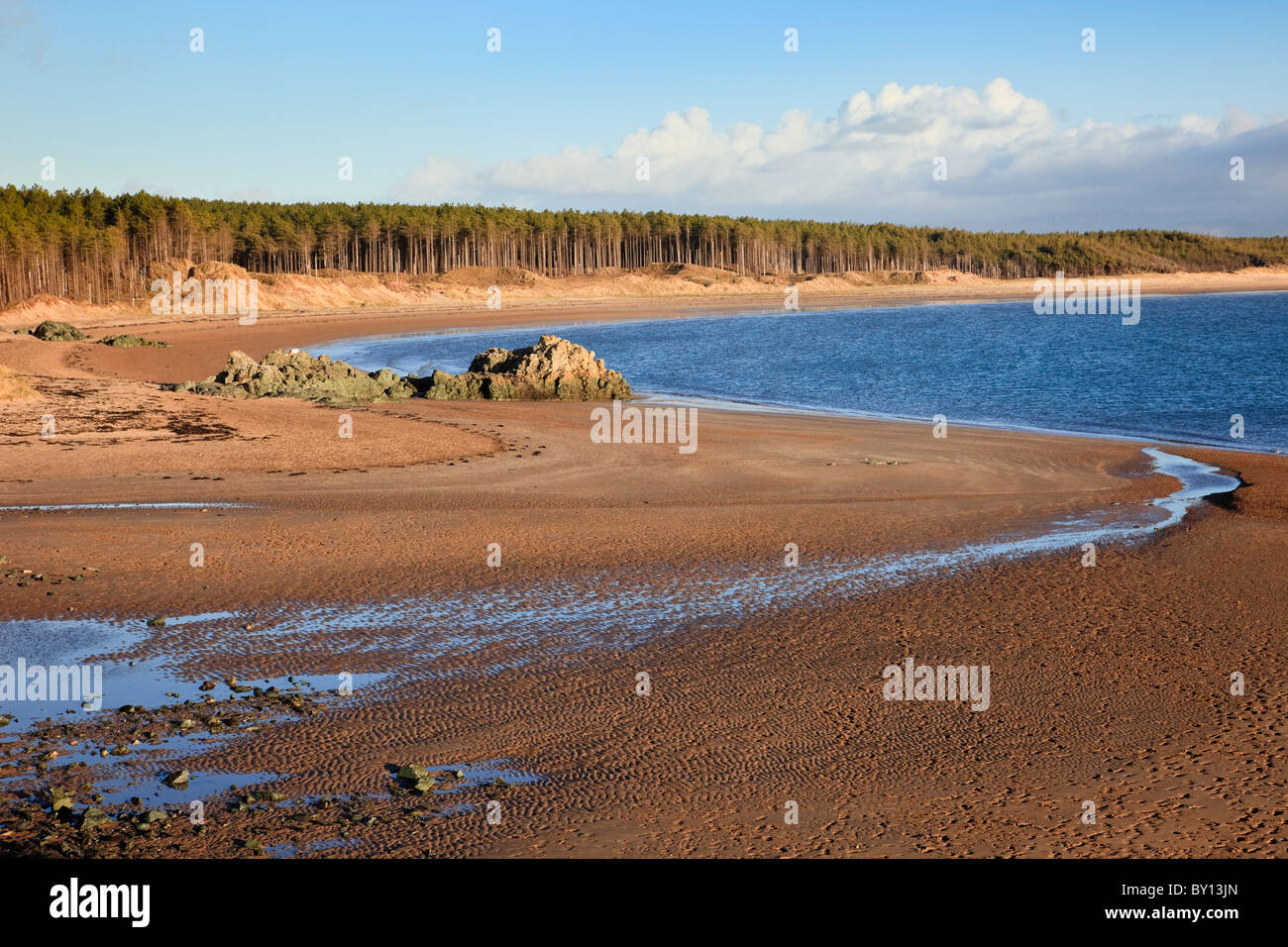 Vista della spiaggia di Llanddwyn e Newborough foresta. Newborough, Isola di Anglesey, Galles del Nord, Regno Unito, Gran Bretagna Foto Stock
