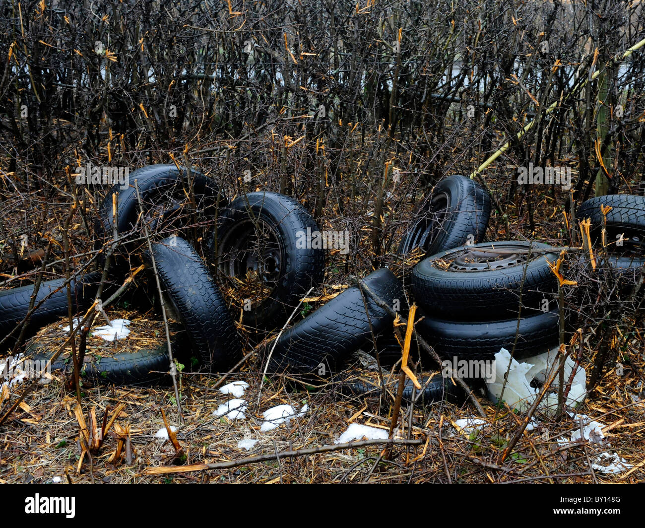 Pneumatici per auto illegalmente oggetto di pratiche di dumping su terreno coltivato. Foto Stock