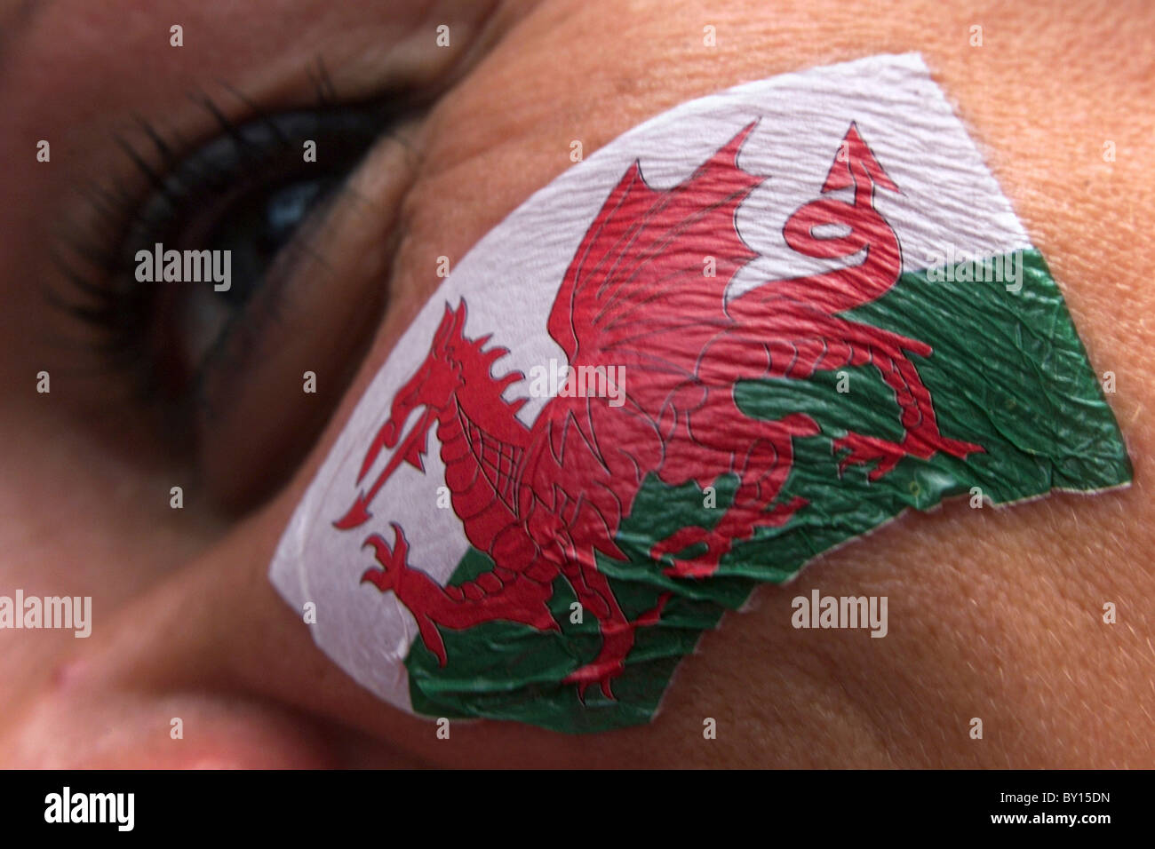 Una bandiera gallese trasferimento su un sostenitore del Galles. Foto Stock