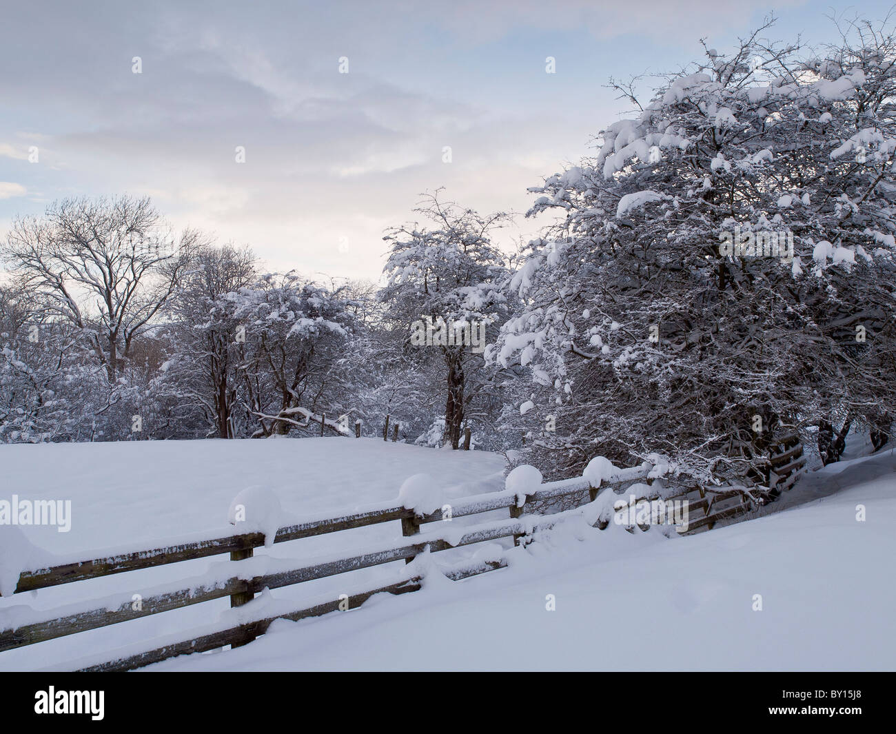 Cold snowy rurale scena a Goathland, North Yorkshire. Foto Stock