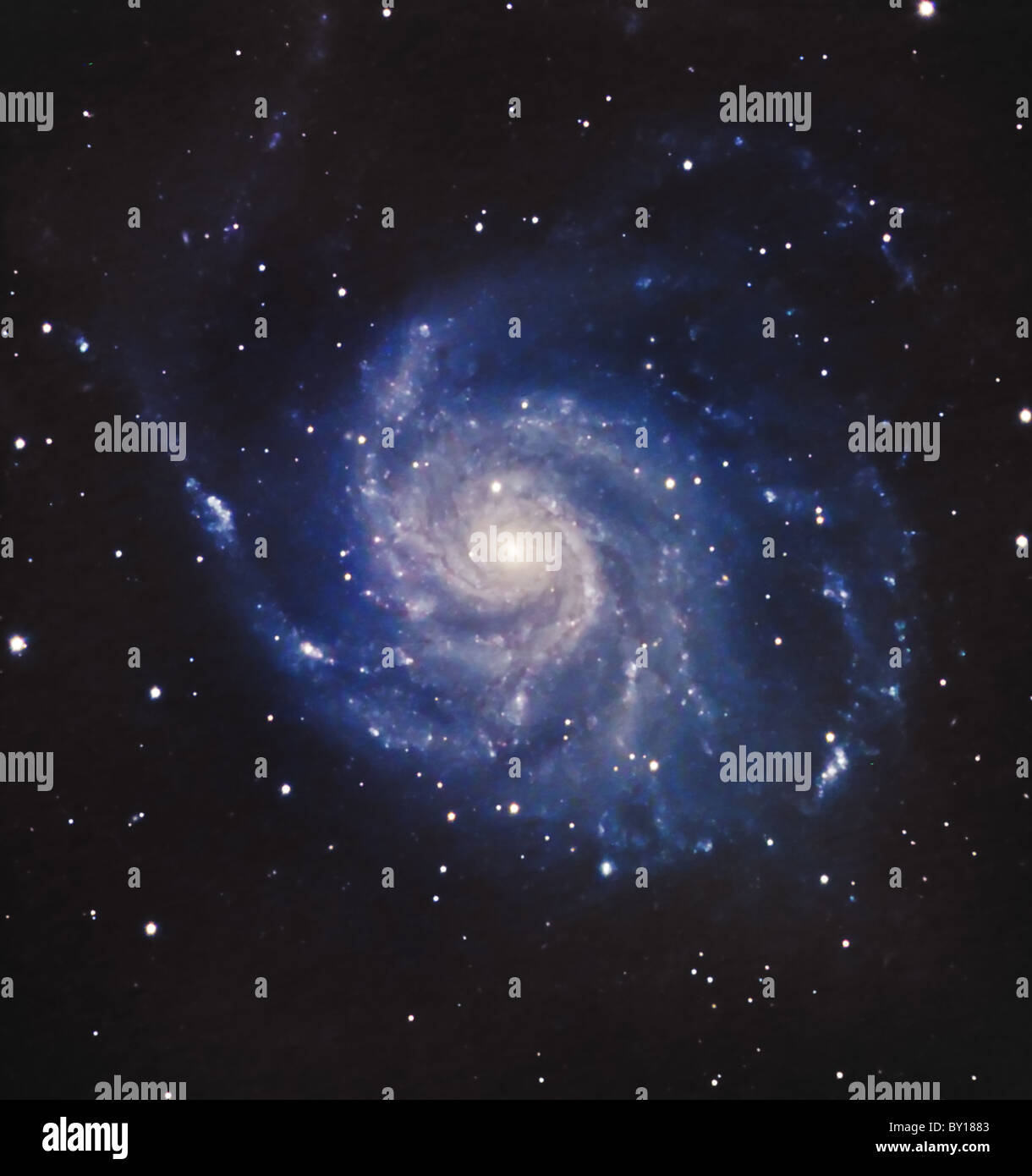 Immagine telescopica della galassia a spirale, Messier 101. Foto Stock