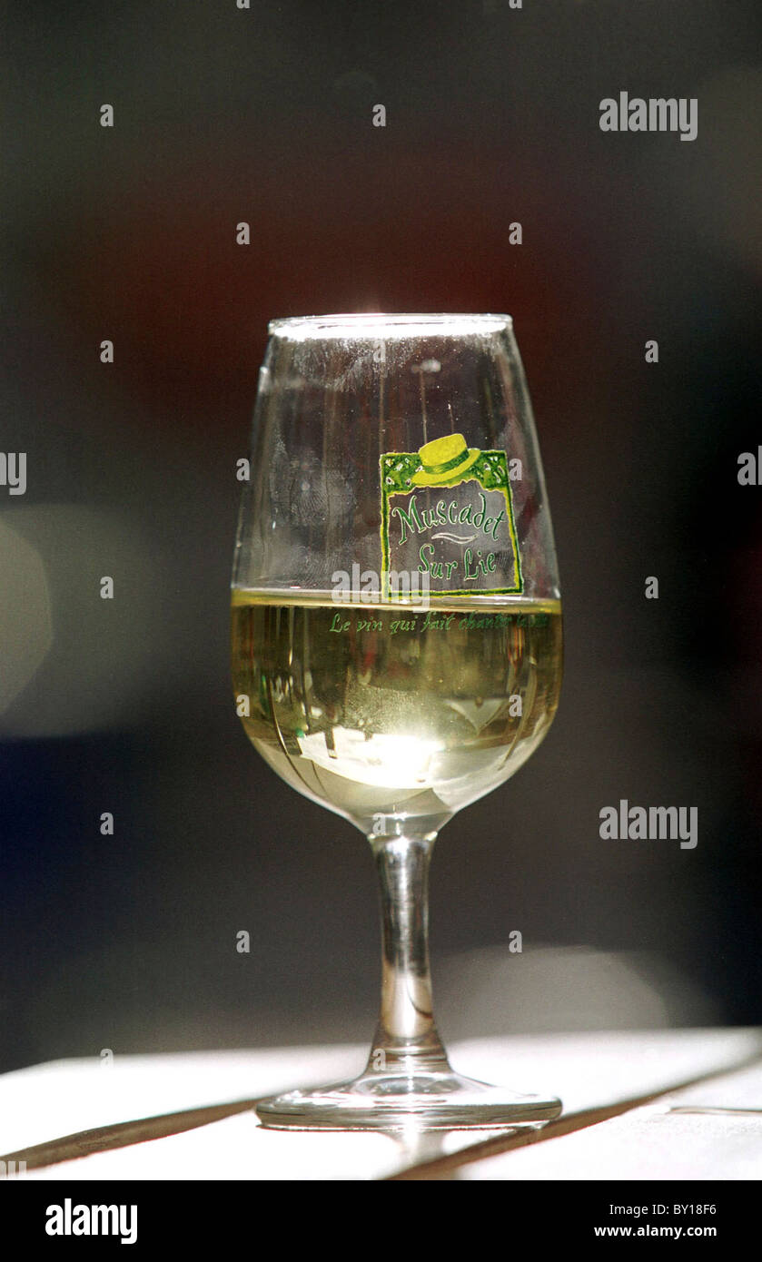 Bicchiere di vino presso l'International Food and Drink Festival in Cardiff. Foto Stock