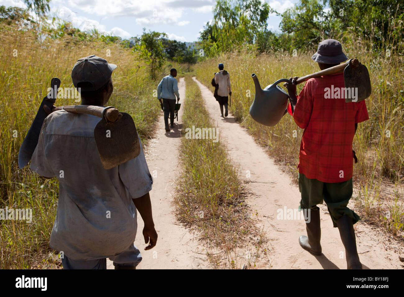 NAMPULA, Mozambico, Maggio 2010 : verde sono state stanziate risorse una concessione di 100.000 ettari. Foto Stock