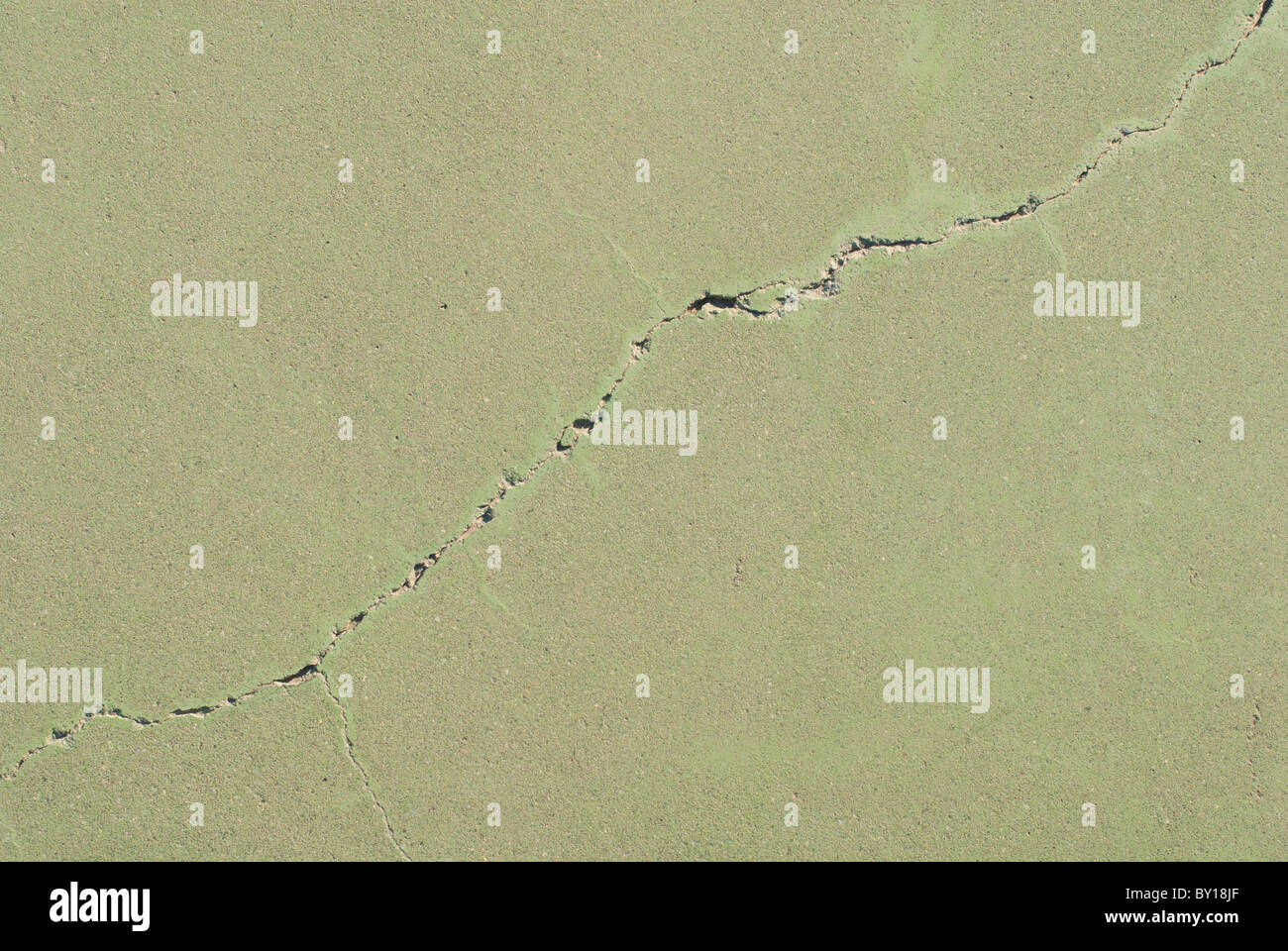 Incrinati pavimentazione verde Foto Stock