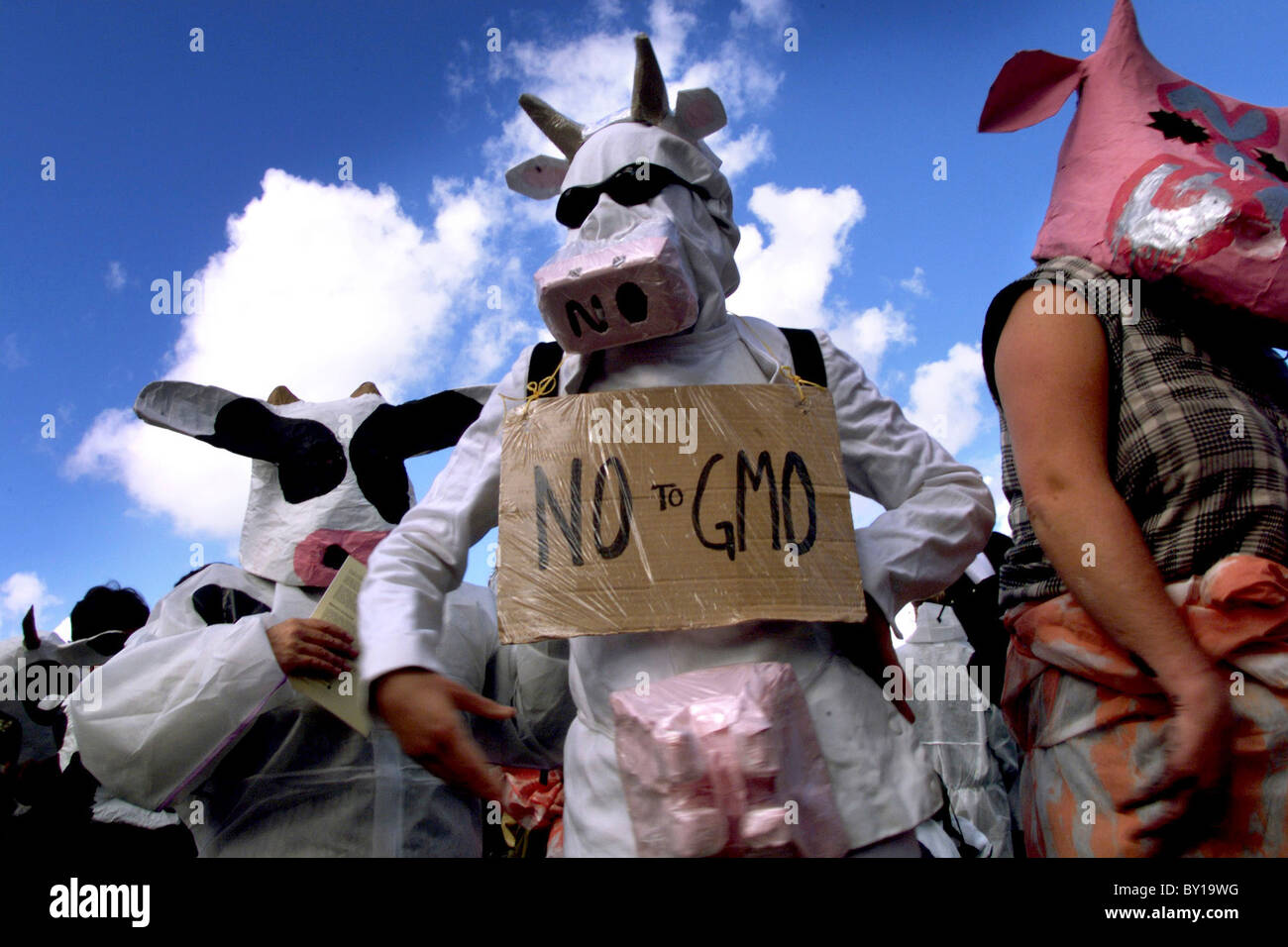 Un anti-GM protesta. Foto Stock