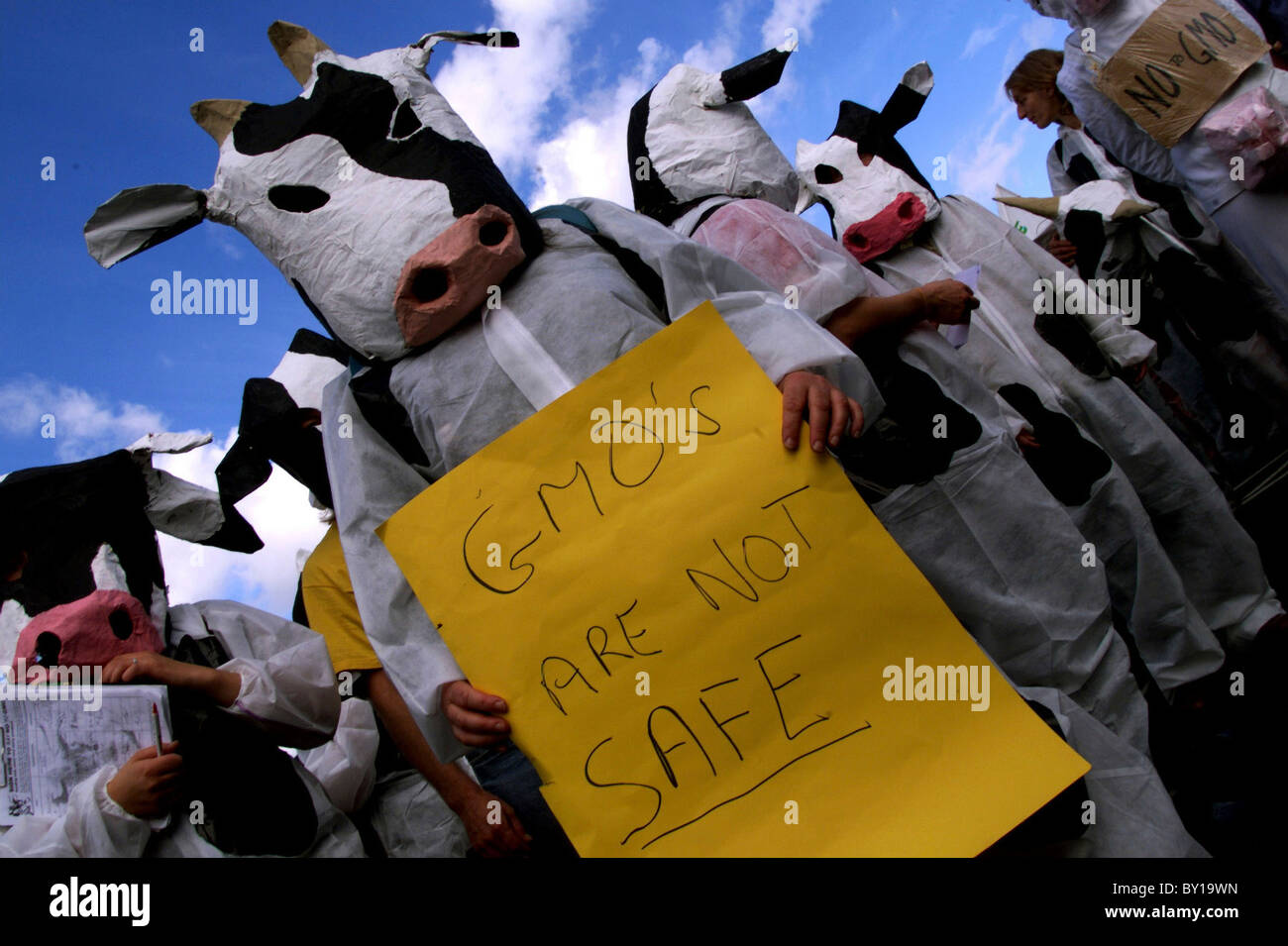 Un anti-GM protesta. Foto Stock