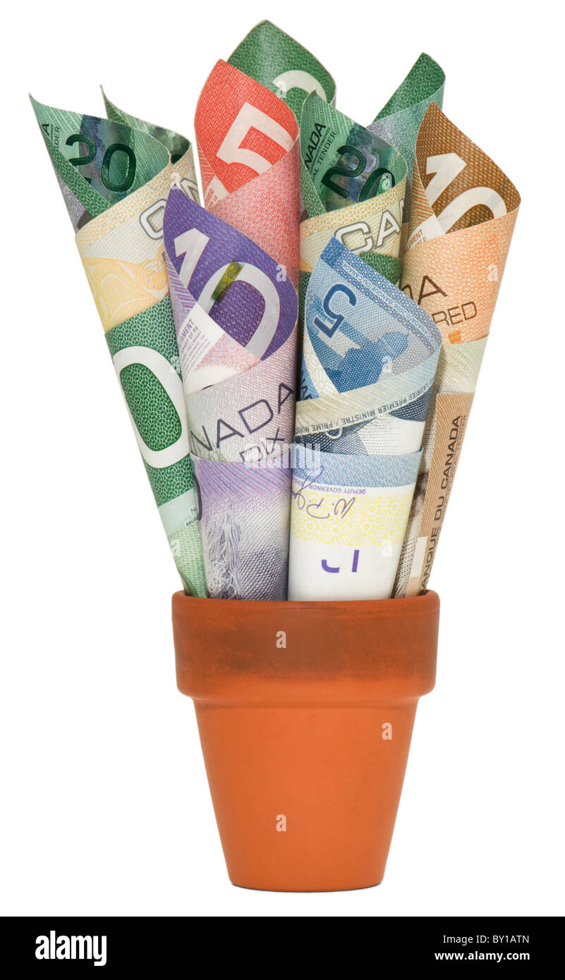 Arrotolata in contanti canadese in un vaso in terracotta. Foto Stock
