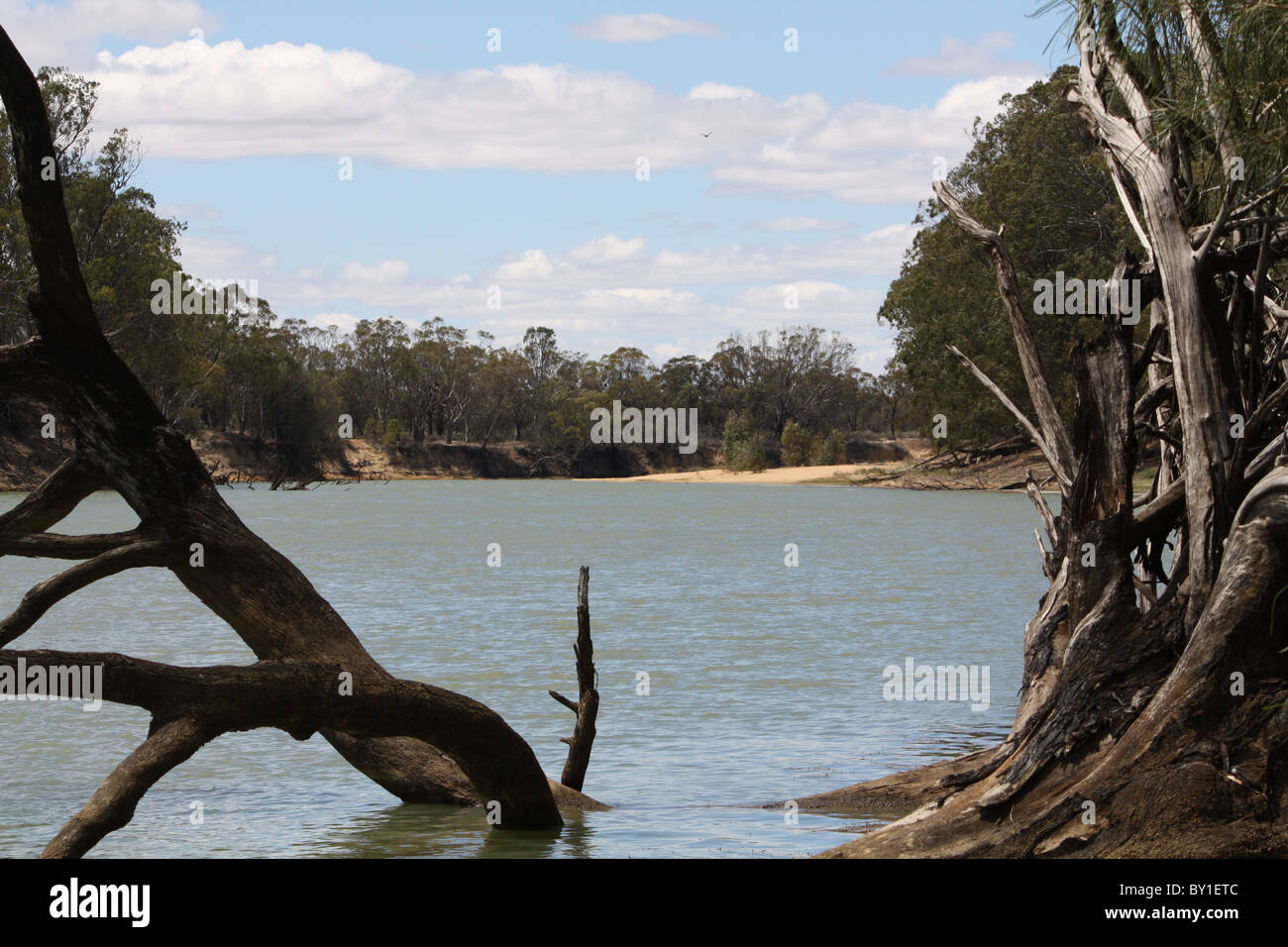 Australian Scena di fiume Foto Stock