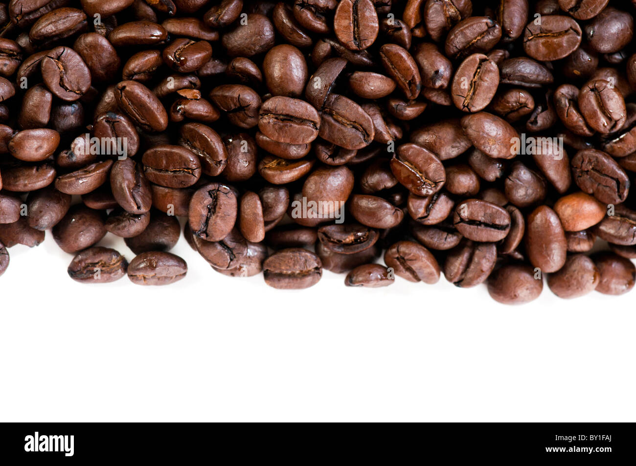 I chicchi di caffè sul fondo bianco con spazio di copia Foto Stock