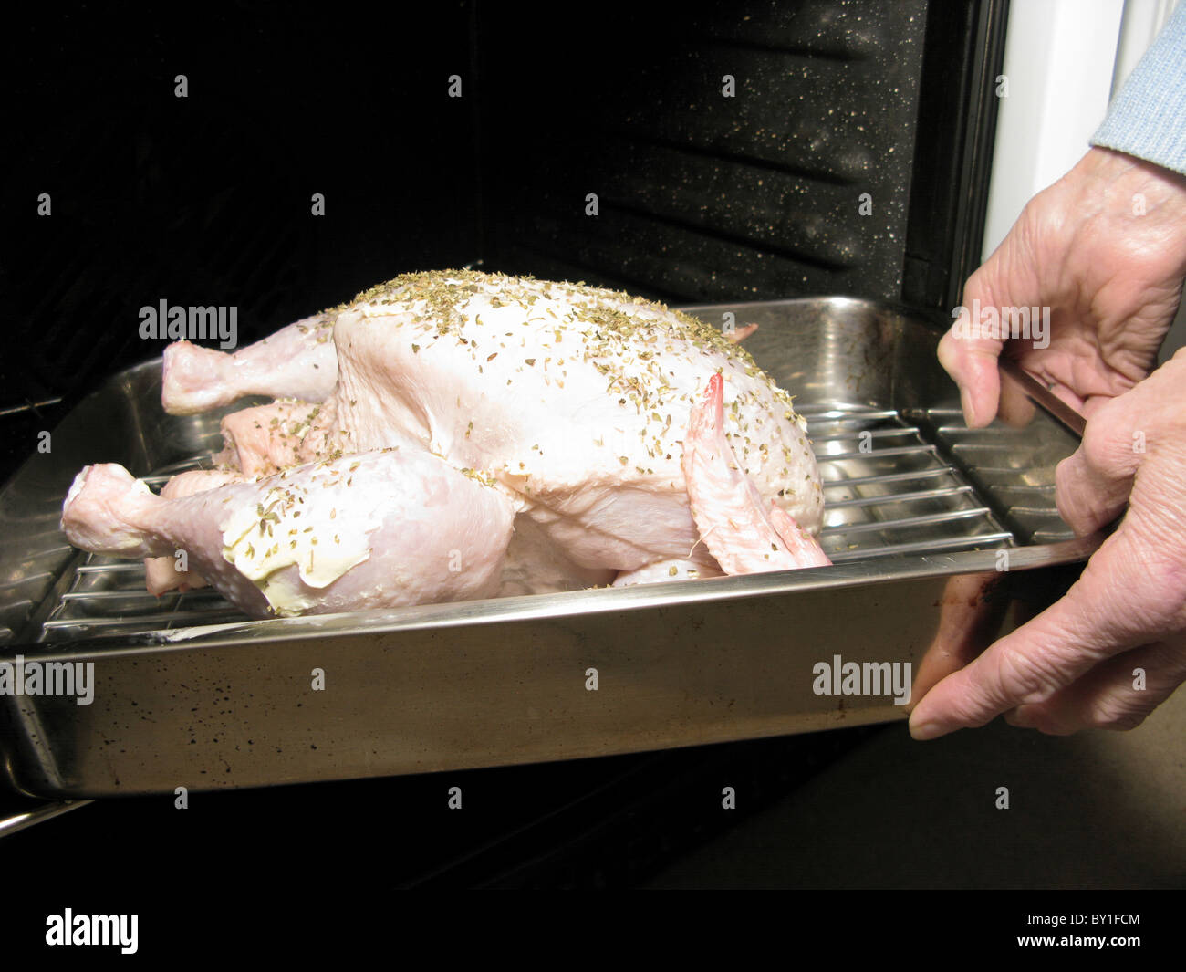 Mettere un pollo imbastite con burro & erbe nel forno per arrostire Foto Stock