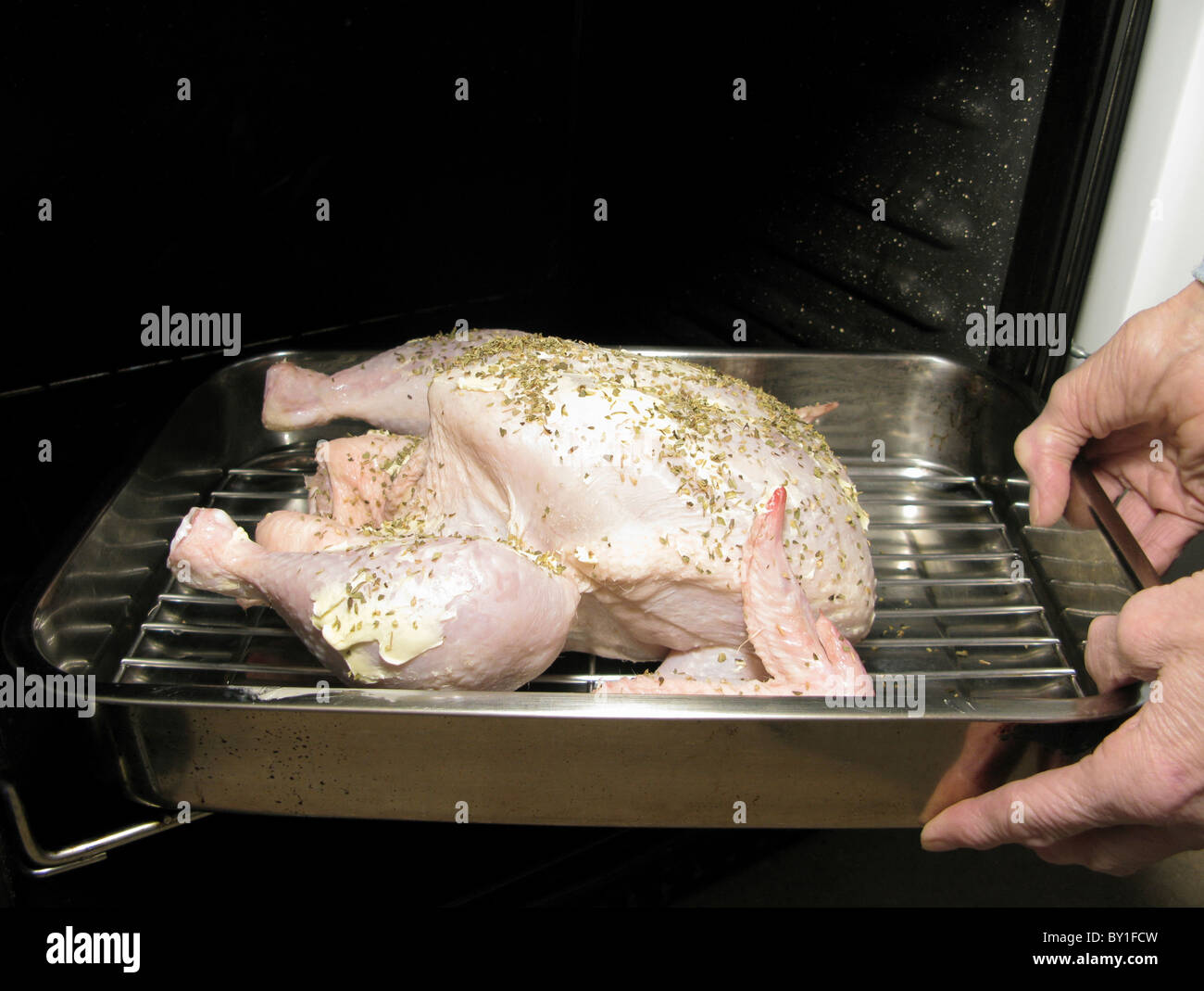 Mettere un pollo imbastite con burro & erbe nel forno per arrostire Foto Stock