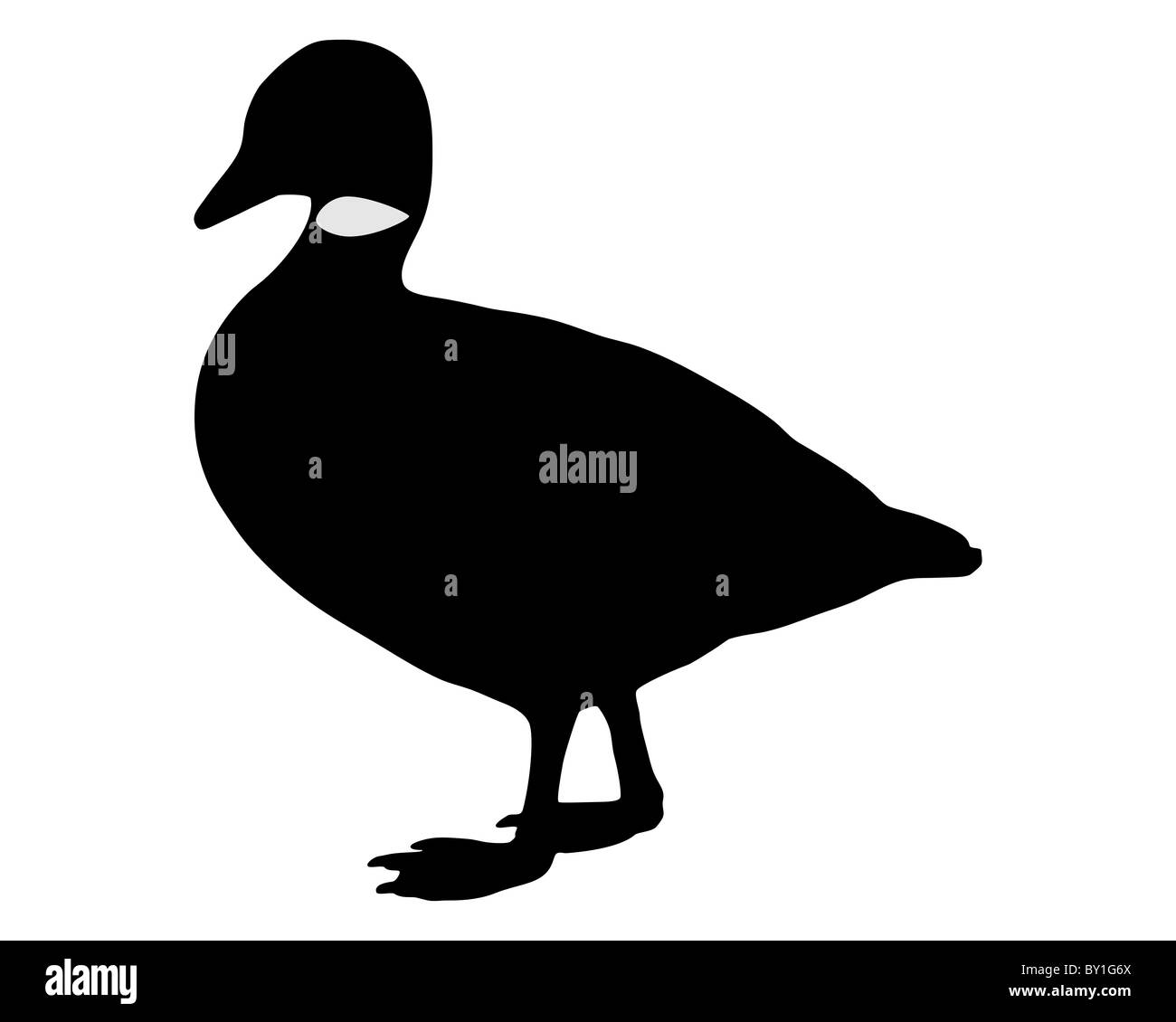 Brant goose silhouette Foto Stock