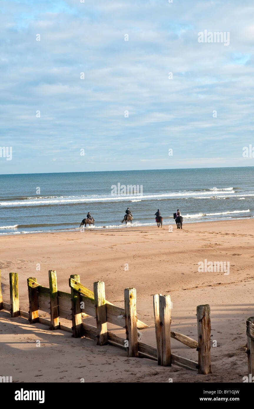 I piloti a cavallo sulla spiaggia di Spittal Berwick Upon Tweed Northumberland Inghilterra Foto Stock