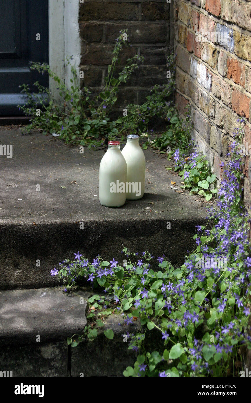Fiori selvatici che crescono lungo la porta anteriore passi framing vetro due bottiglie di latte Foto Stock
