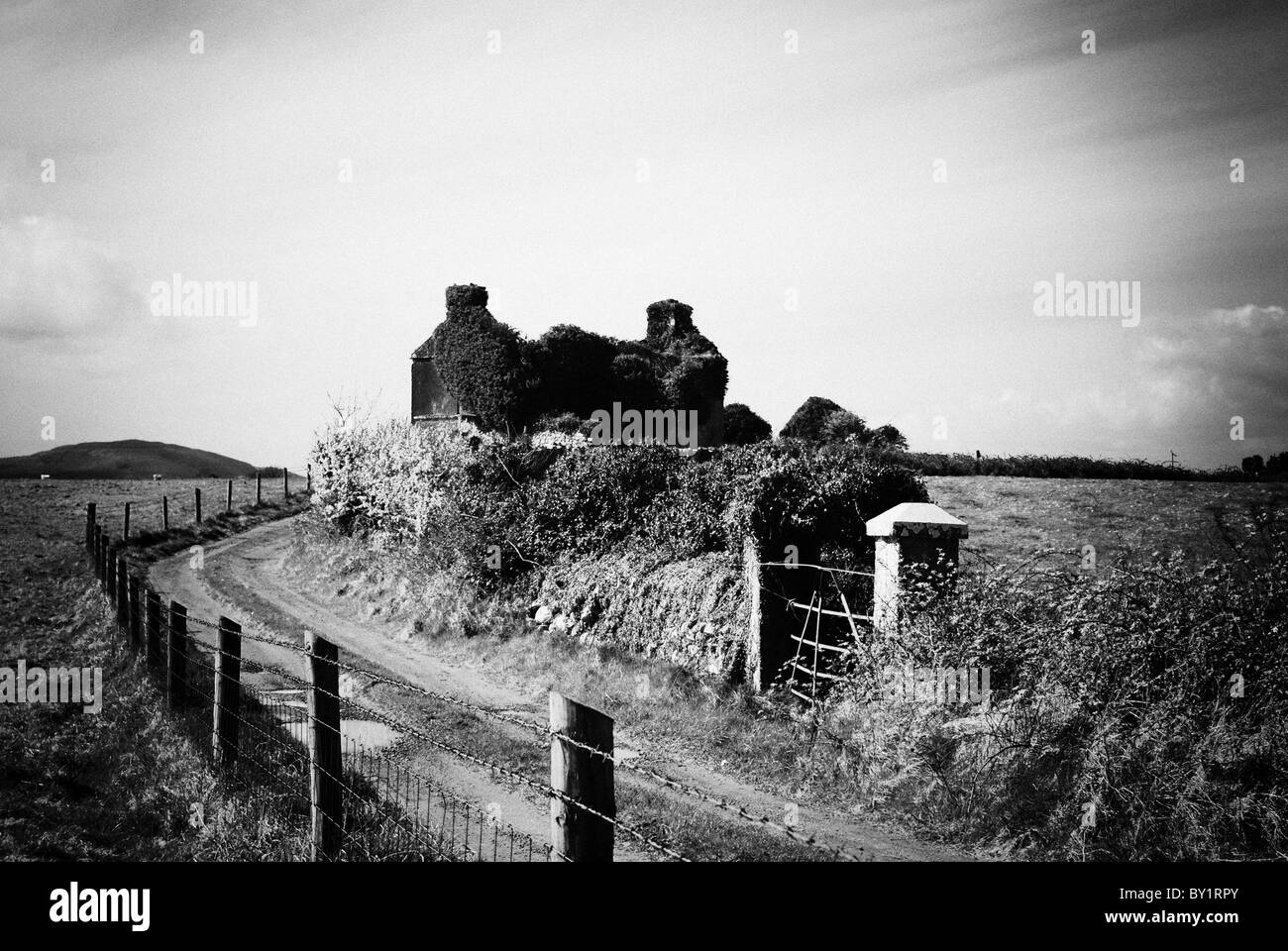 Castello abbandonato vicino a Athlone, contea Westmeath, Irlanda Foto Stock