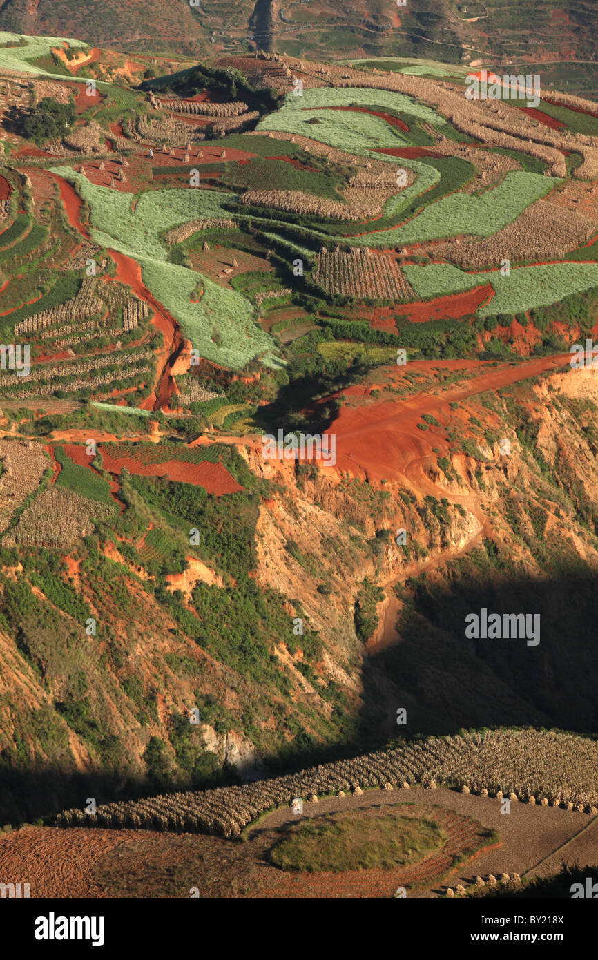 Terra rossa del suolo, Dongchuan, nella provincia dello Yunnan in Cina Foto Stock