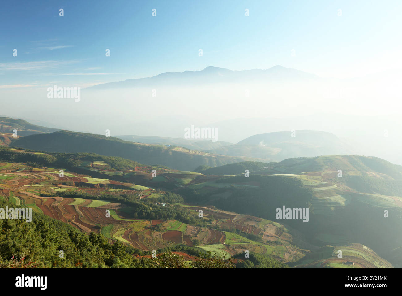 Terra rossa del suolo, Dongchuan, nella provincia dello Yunnan in Cina Foto Stock