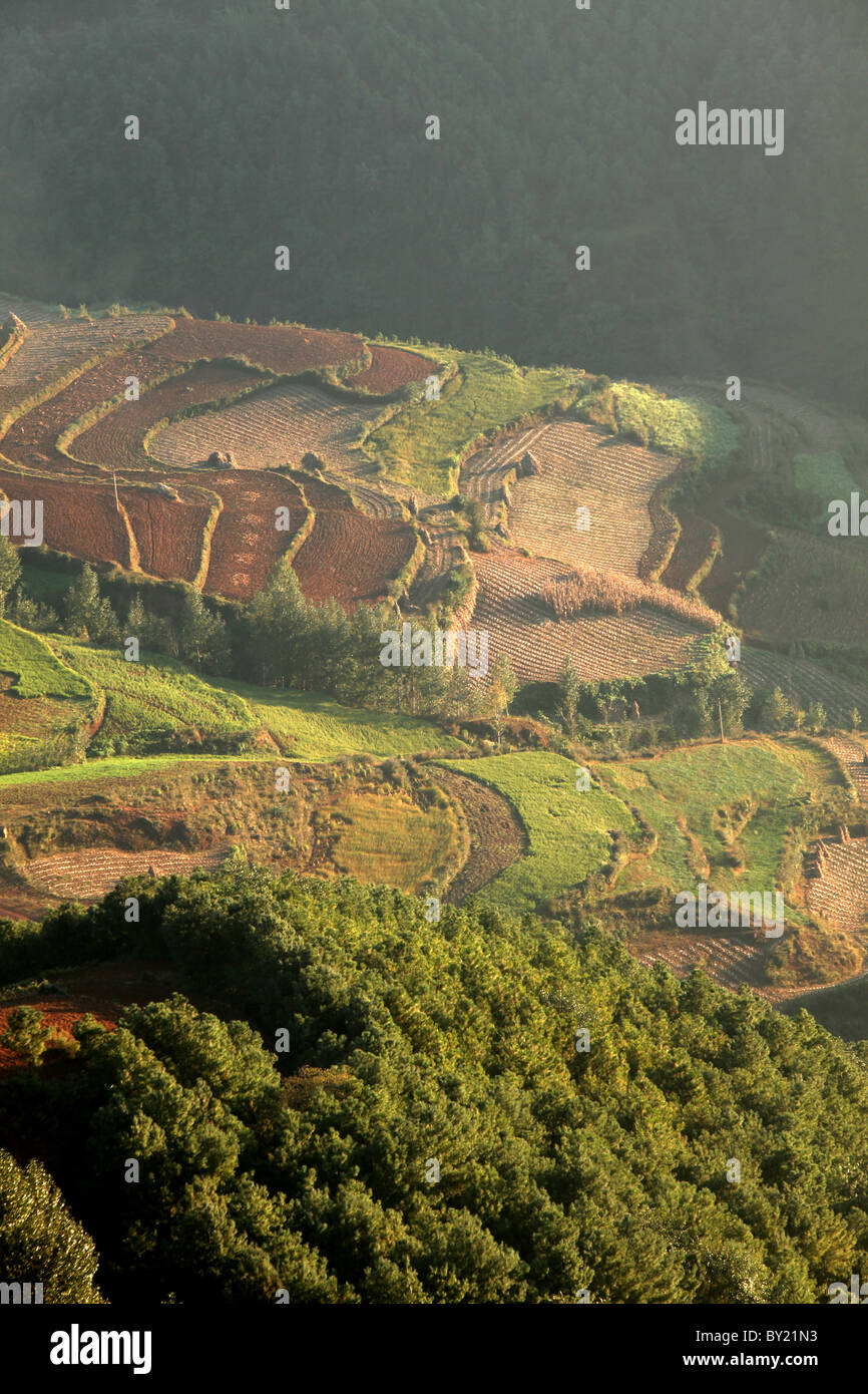 Terra rossa del suolo, Dongchuan, nella provincia dello Yunnan in Cina Foto Stock