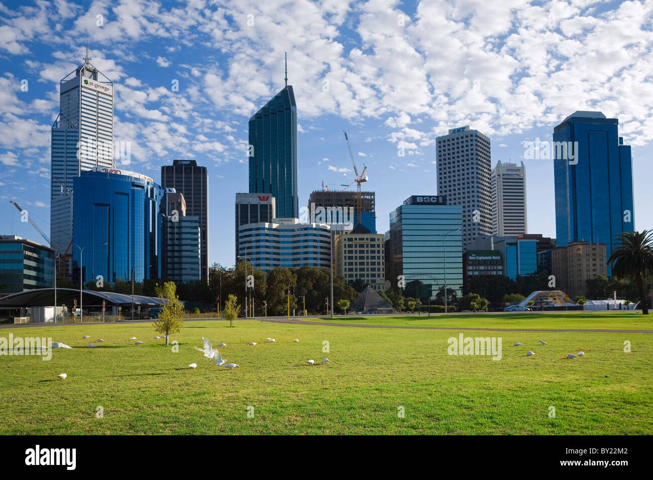 Australia, Western Australia Perth. Lo Skyline della citta'. Foto Stock