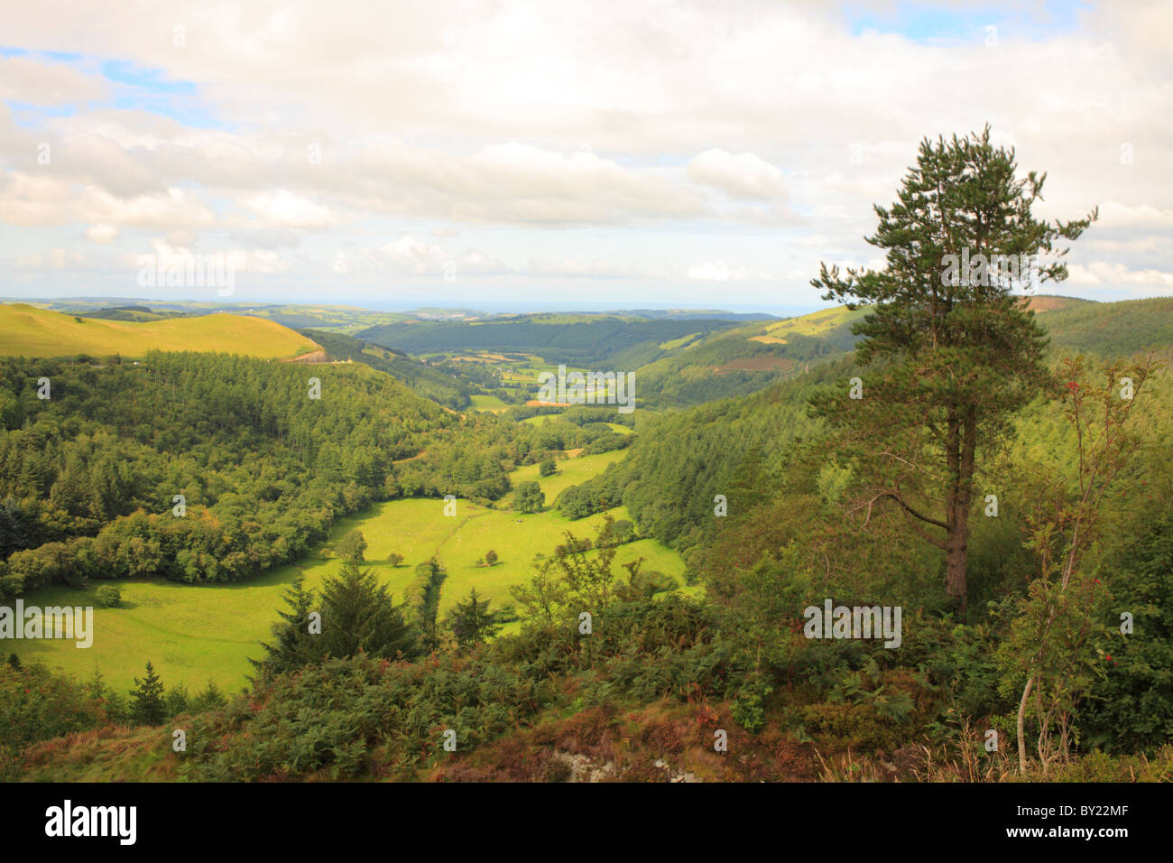 Valle del Nant Yr Arian verso Goginan e Aberystwyth. Ceredigion, Galles. Foto Stock