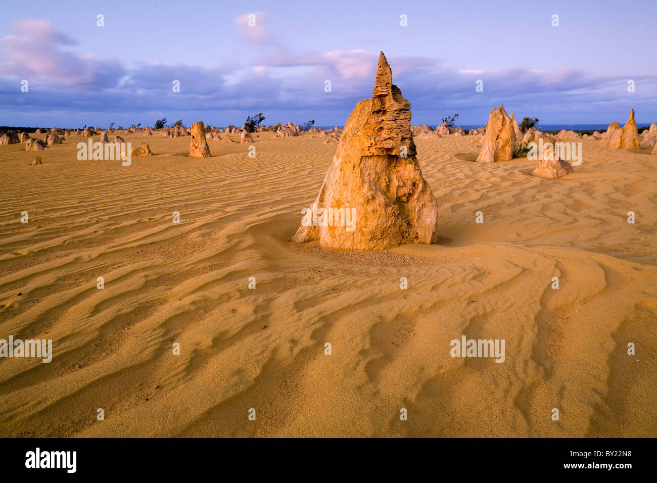 Australia, Australia occidentale, Cervantes, Nambung National Park. Colonne di pietra calcarea del Deserto Pinnacles a sunrise. Foto Stock