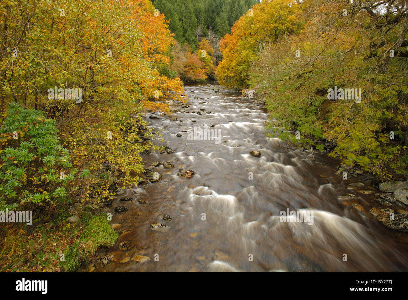 Il fiume Ystwyth in autunno. Il Hafod, vicino Pontrhydygroes, Ceredigion, Galles. Foto Stock