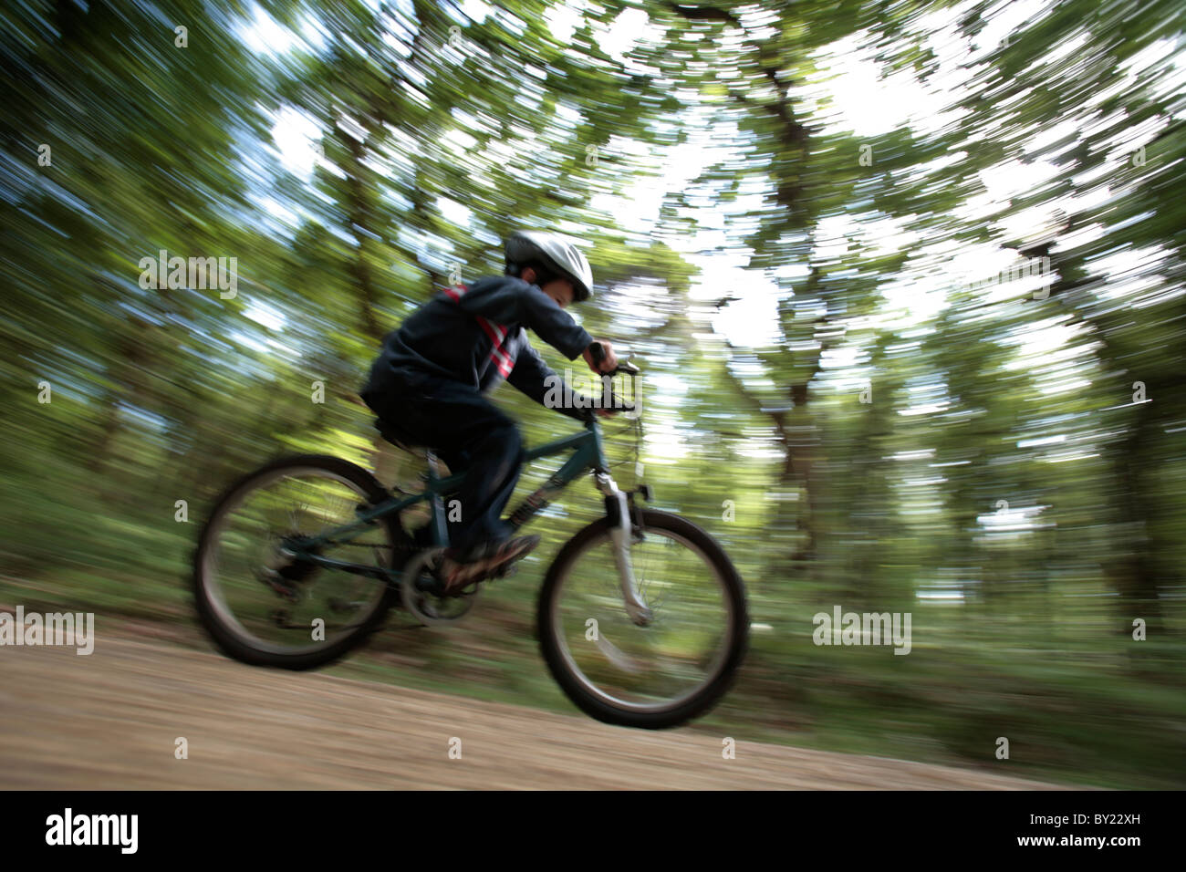 Inghilterra, Hampshire, New Forest. Ragazzo in bicicletta su un percorso attraverso il bosco. (MR) Foto Stock