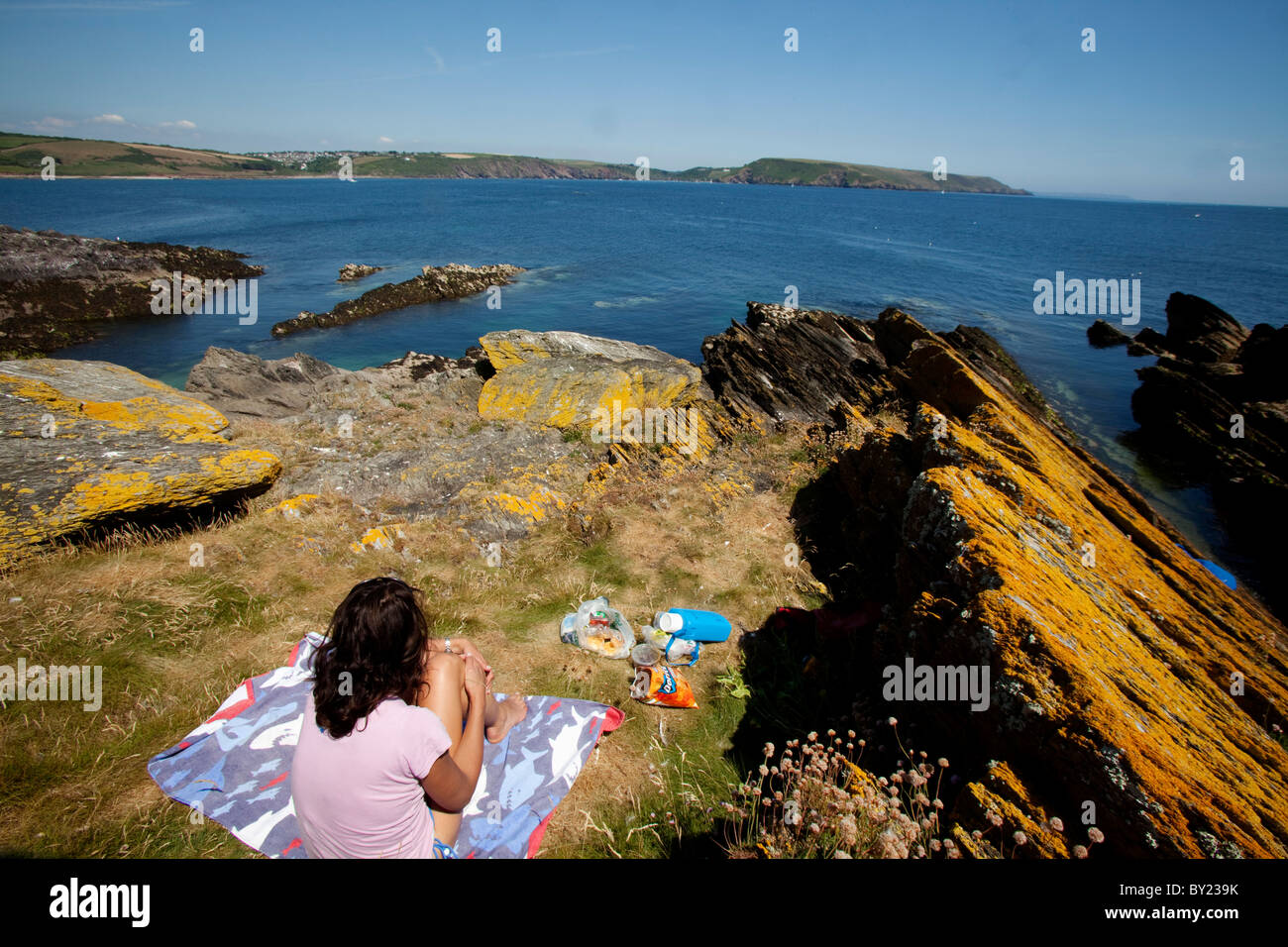 Inghilterra, Devon, Wembury, Mew Stone Island. La Mew Stone Island off della costa del Devon nei pressi di Wembury (MR) Foto Stock