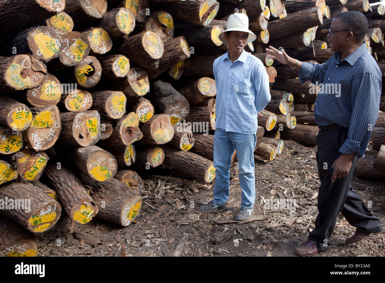 NAMPULA, Mozambico, Maggio 2010 : il deposito di legname di legno verde, un cinese di proprietà di concessione di legname che sono in possesso di una licenza per operare Foto Stock