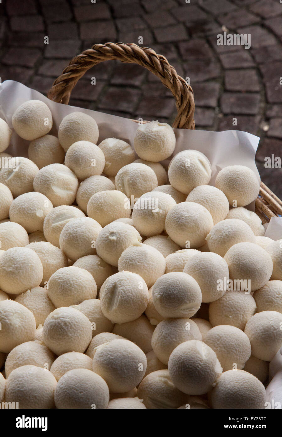 Francia, Haute-Garonne, Revel. Roundels di capra formaggio, Revel mercato. Foto Stock