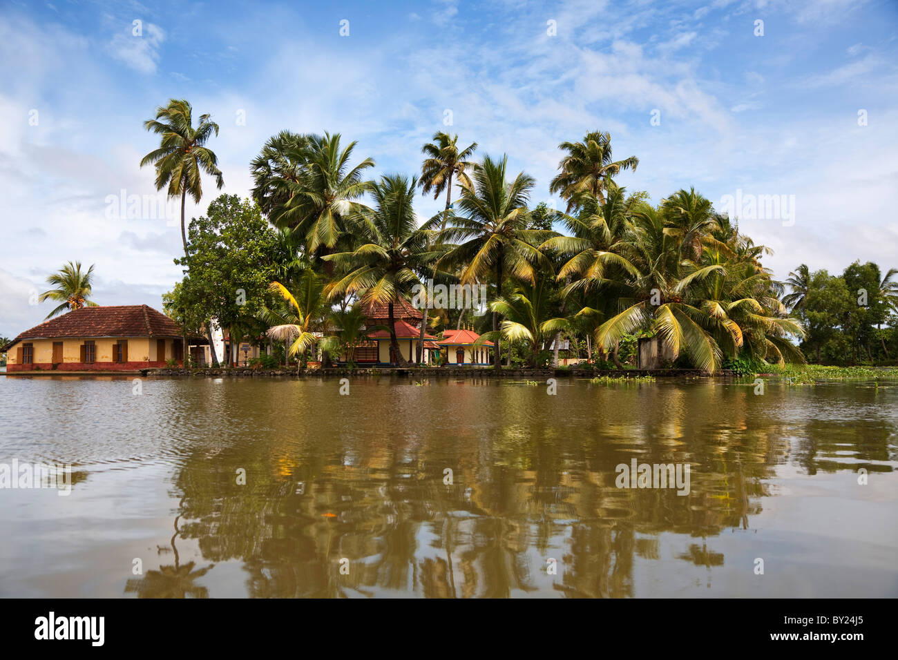 India, Alleppey. Il Kerala backwaters. Foto Stock