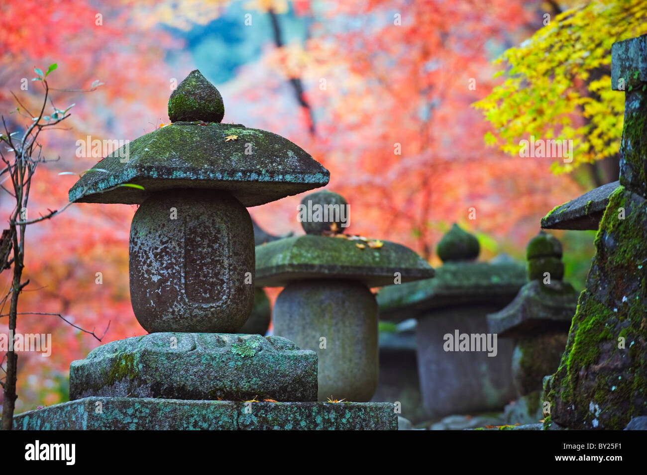 Asia, Giappone. Kyoto, Sagano, Nison in (Nisonin) Tempio, (834), la lanterna di pietra rossa tra foglie di autunno Foto Stock