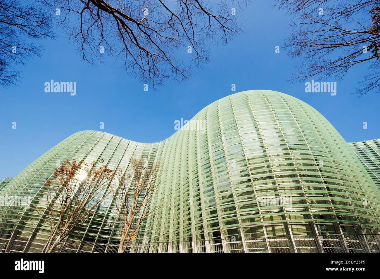 Asia, Giappone, Tokyo, Roppongi Ward, National Art Center, NACT, progettato da Kisho Kurokawa (2007) Foto Stock