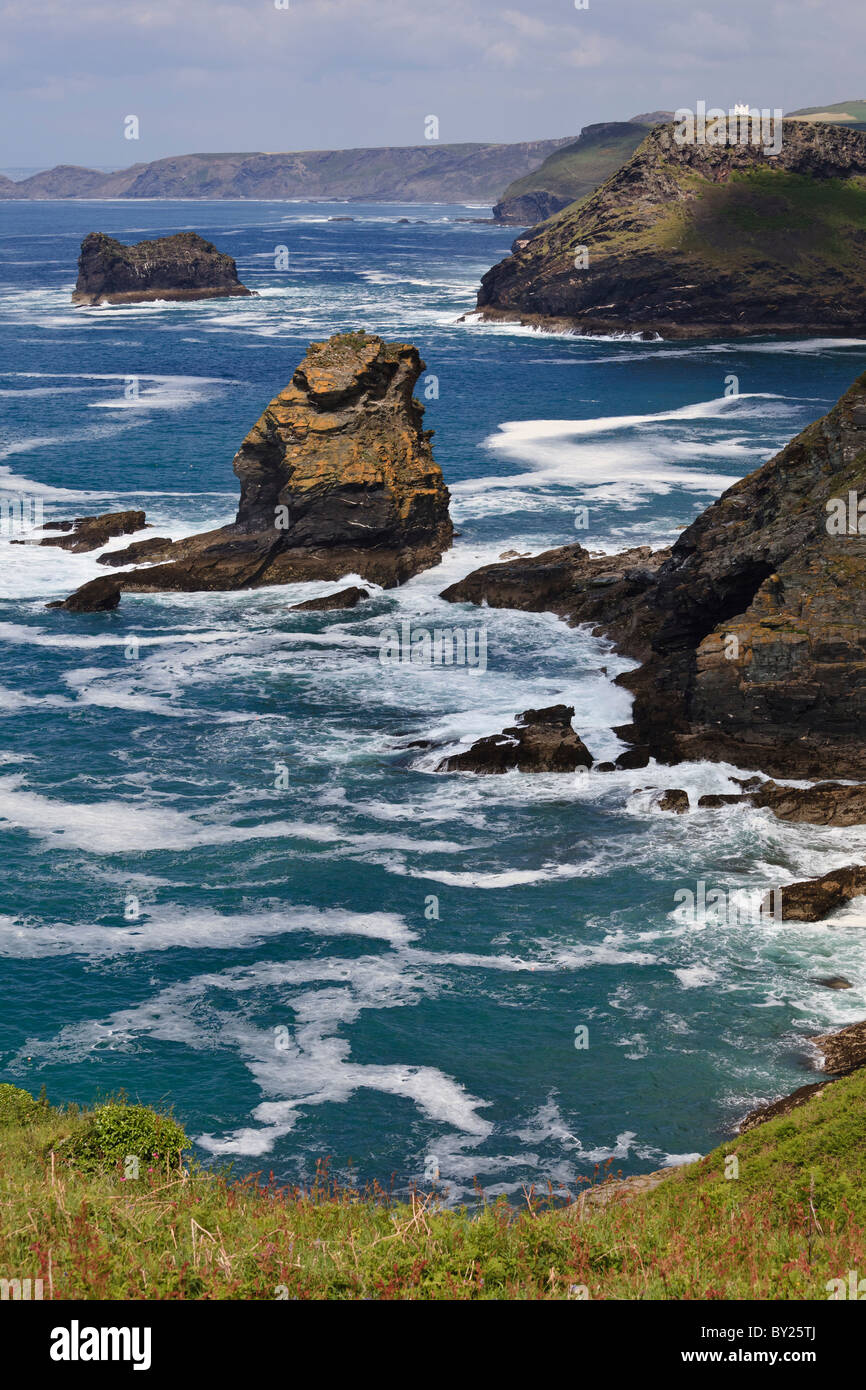 Vista dalla costa sud-ovest il percorso verso il coltivatore Rock, il Meachard e Boscastle, Cornwall. Foto Stock