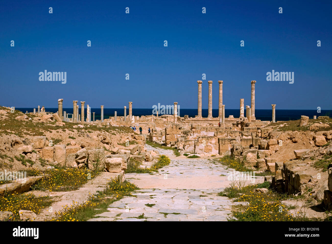 Sabratha, Libia; colonne erette nell'antica città romana di Sabratha appena fuori il mare Mediterraneo Foto Stock