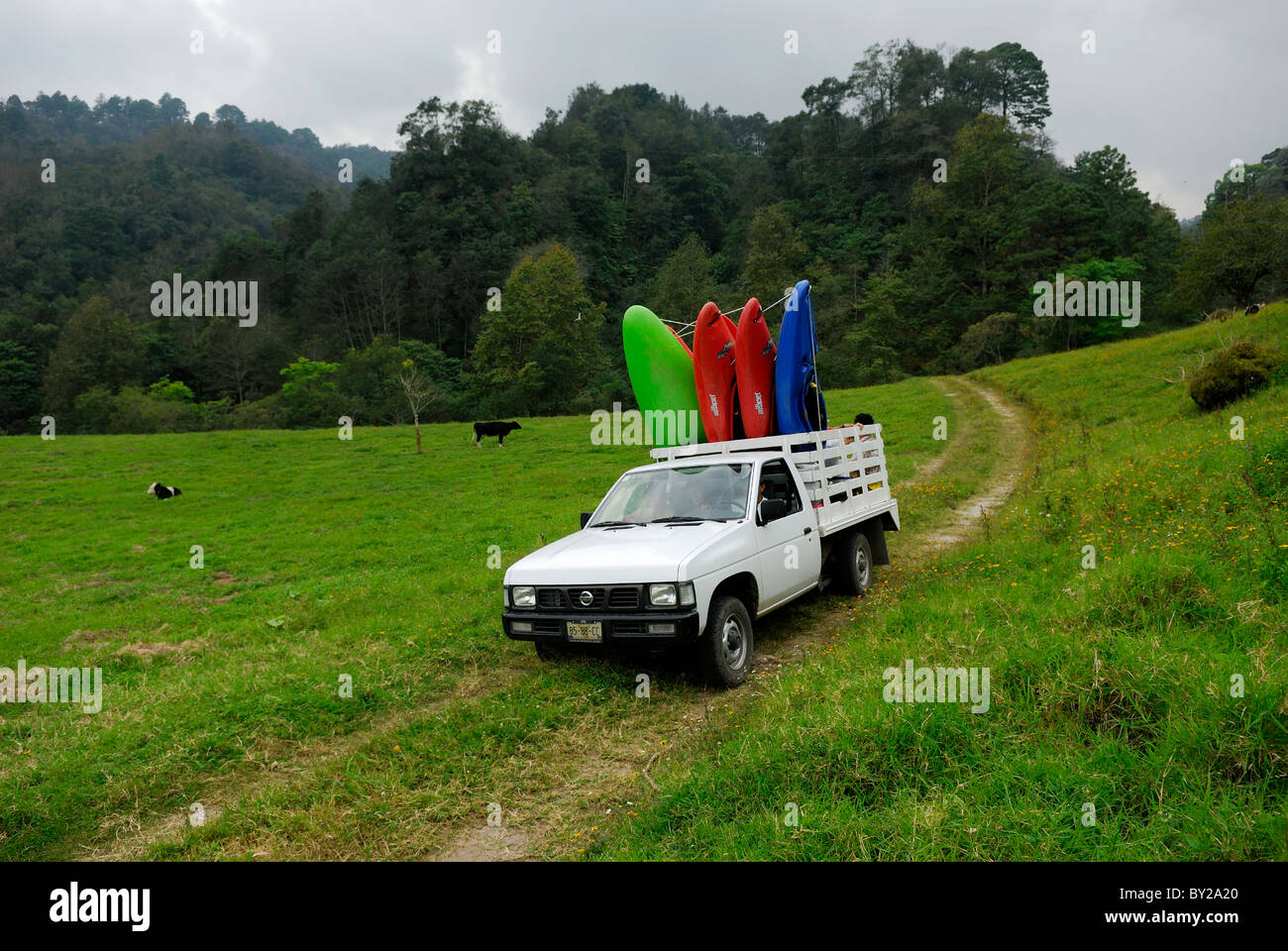 Kayakers scouting alla ricerca di buone acque bianche sul Fiume Alseseca nella regione di Veracruz città del Messico. Foto Stock