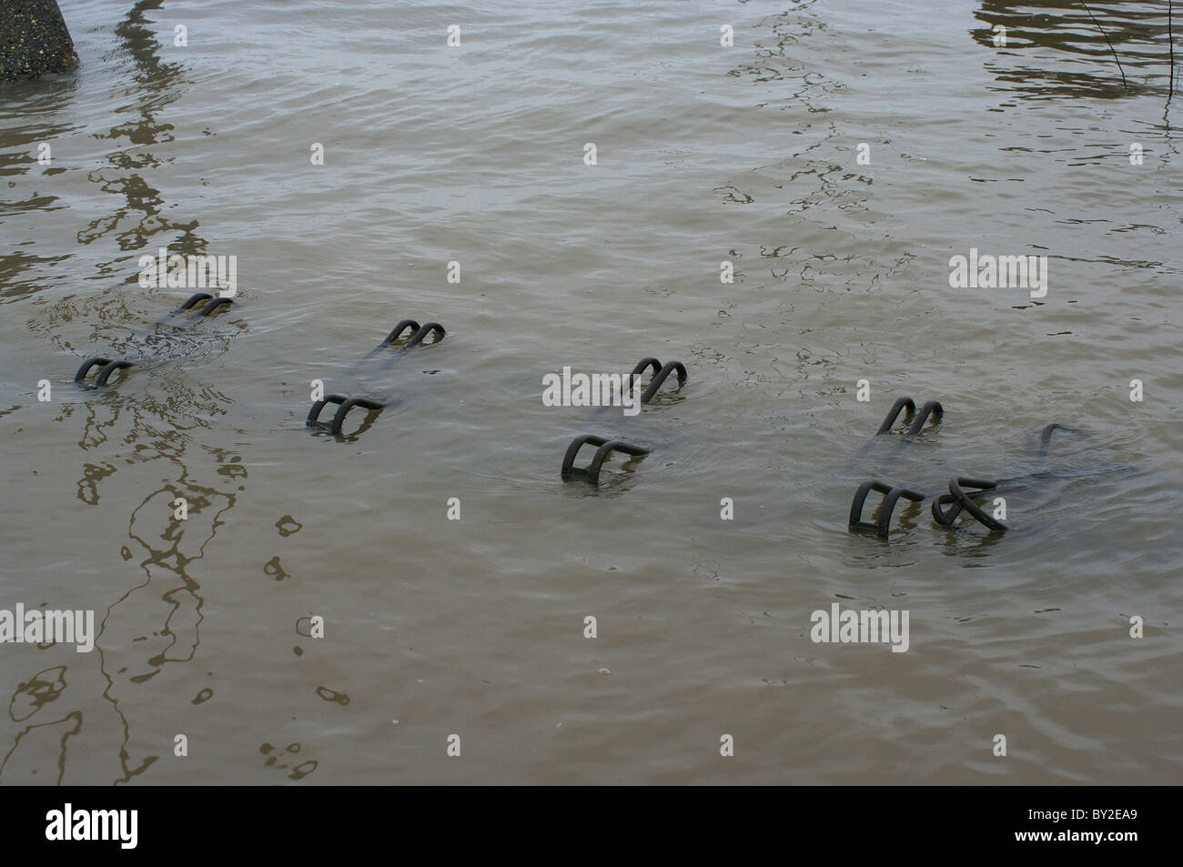 Il parcheggio per le bici sotto l'acqua quando il fiume Waal era 15,5 m al di sopra del suo livello normale a Tiel Foto Stock