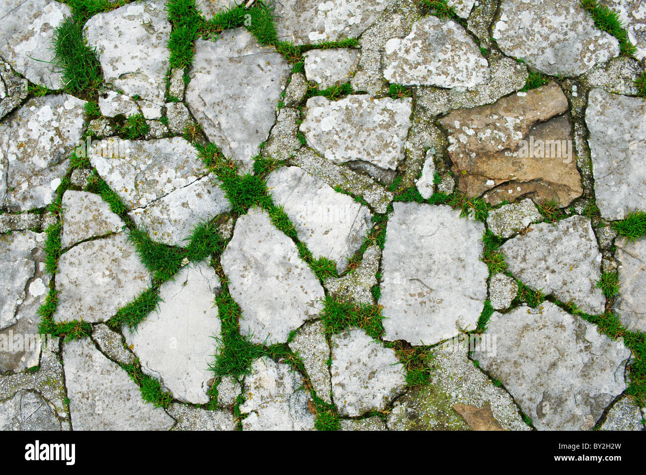 La texture del vecchio percorso in pietra con erba verde Foto stock - Alamy