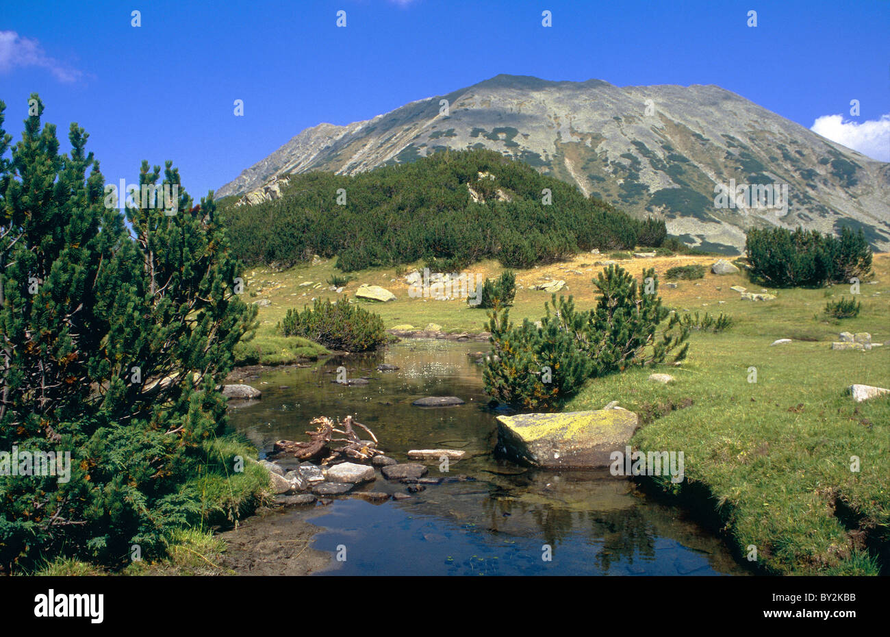 Montare Todorin nelle montagne Pirin, Bulgaria Foto Stock