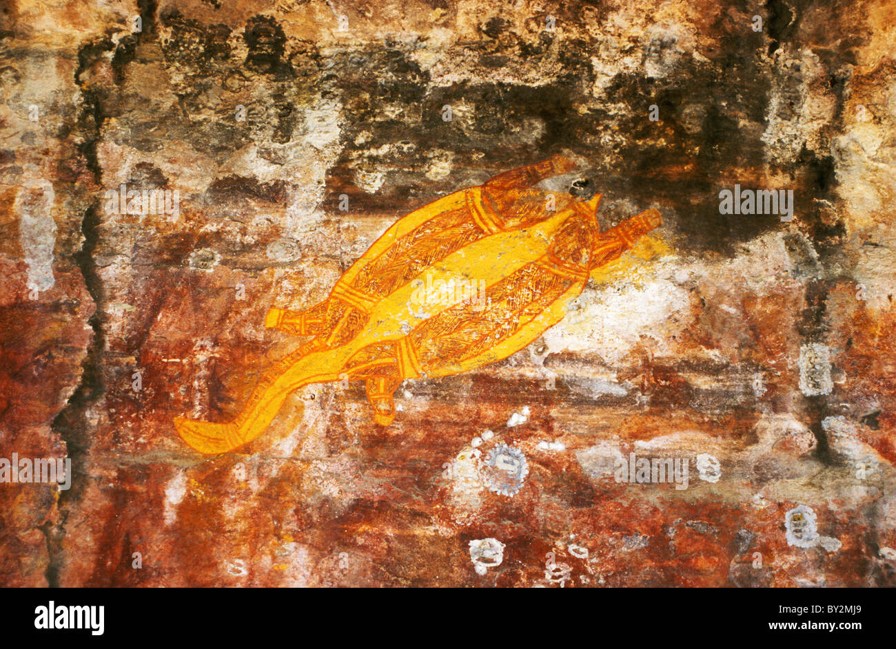 Arte rupestre degli Aborigeni, Kakadu, Territorio del Nord, l'Australia - X-ray turtle a Ubirr Rock Foto Stock