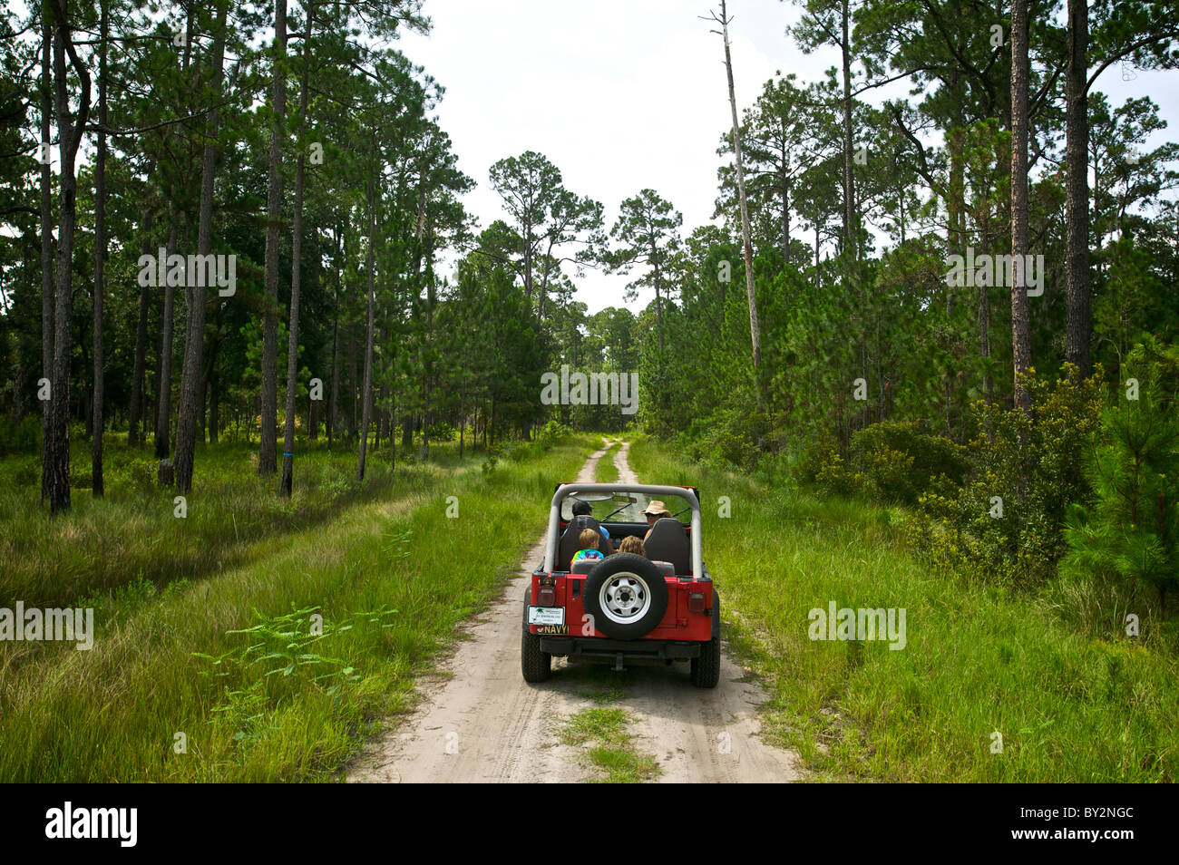 Jeep in backcountry su strade sterrate. Sapelo Island, GA. Foto Stock