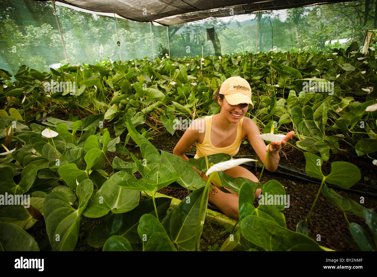 Una ragazza all'interno di una serra guardando un fiore in Chiapas, Messico. Foto Stock