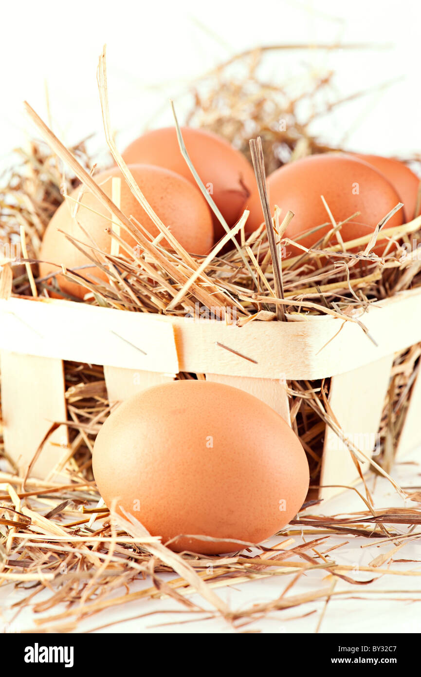 Riprese macro di marrone le uova nel paniere di legno a hay Foto Stock