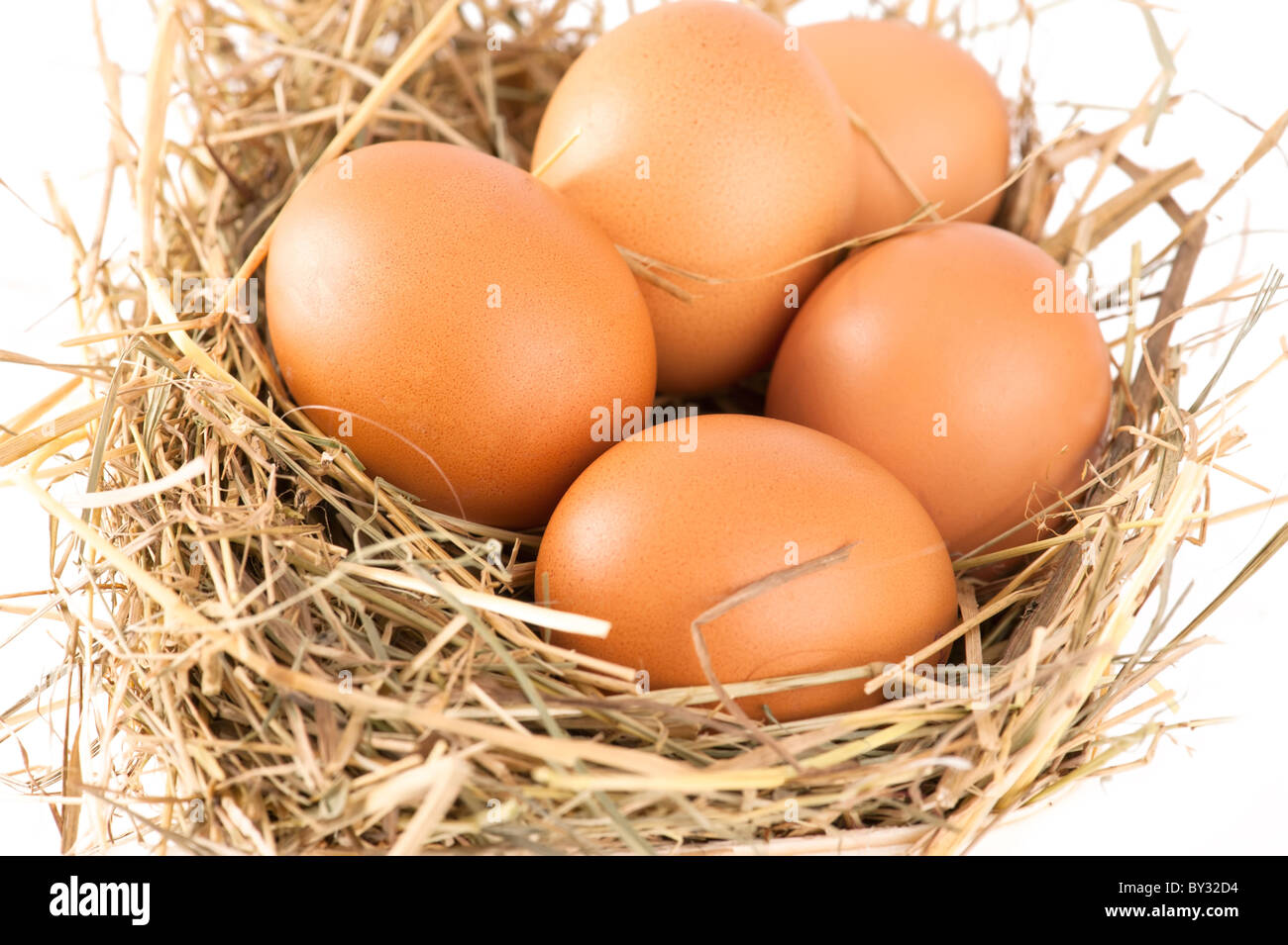 Riprese macro di uova di colore marrone a hay. Profondità di campo Foto Stock
