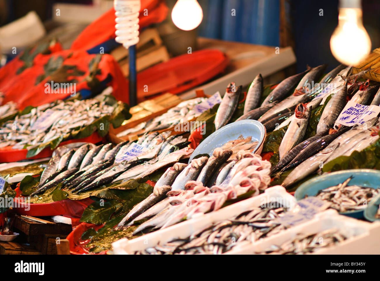 ISTANBUL, Turchia: Lo storico mercato del pesce di Karakoy si trova vicino al ponte Galata nel quartiere sul lungomare di Istanbul. Questo mercato tradizionale, conosciuto localmente come Balik Pazari, serve come principale centro commerciale di pesce per le catture dello stretto del Bosforo e del Mar Nero. La posizione del mercato lo colloca in un punto cruciale tra il Corno d'Oro e il Bosforo. Foto Stock