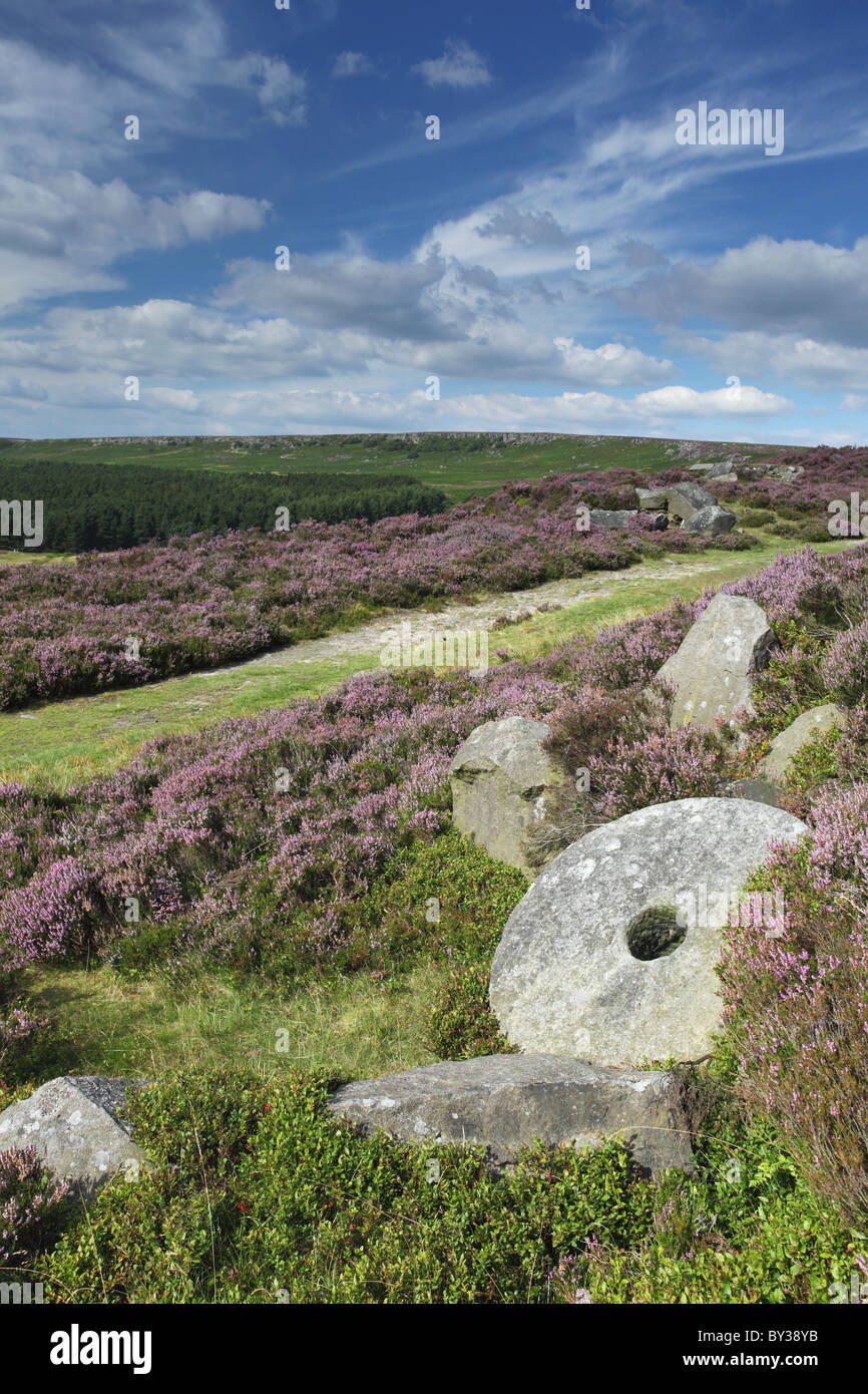 Macine abbandonate giacciono tra le distese di erica viola nella valle Burbage, Derbyshire Foto Stock