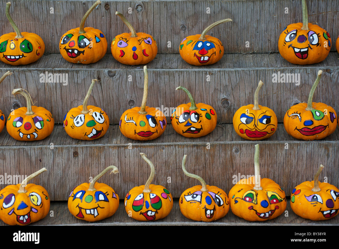 Visualizzazione di decorate zucche di Halloween in vendita Foto stock -  Alamy