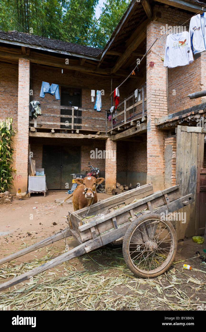 Cortile della casa nel villaggio di Jingzhen vicino Menghai, nella provincia dello Yunnan, Regione di Xishuangbanna, Repubblica Popolare Cinese. JMH4219 Foto Stock